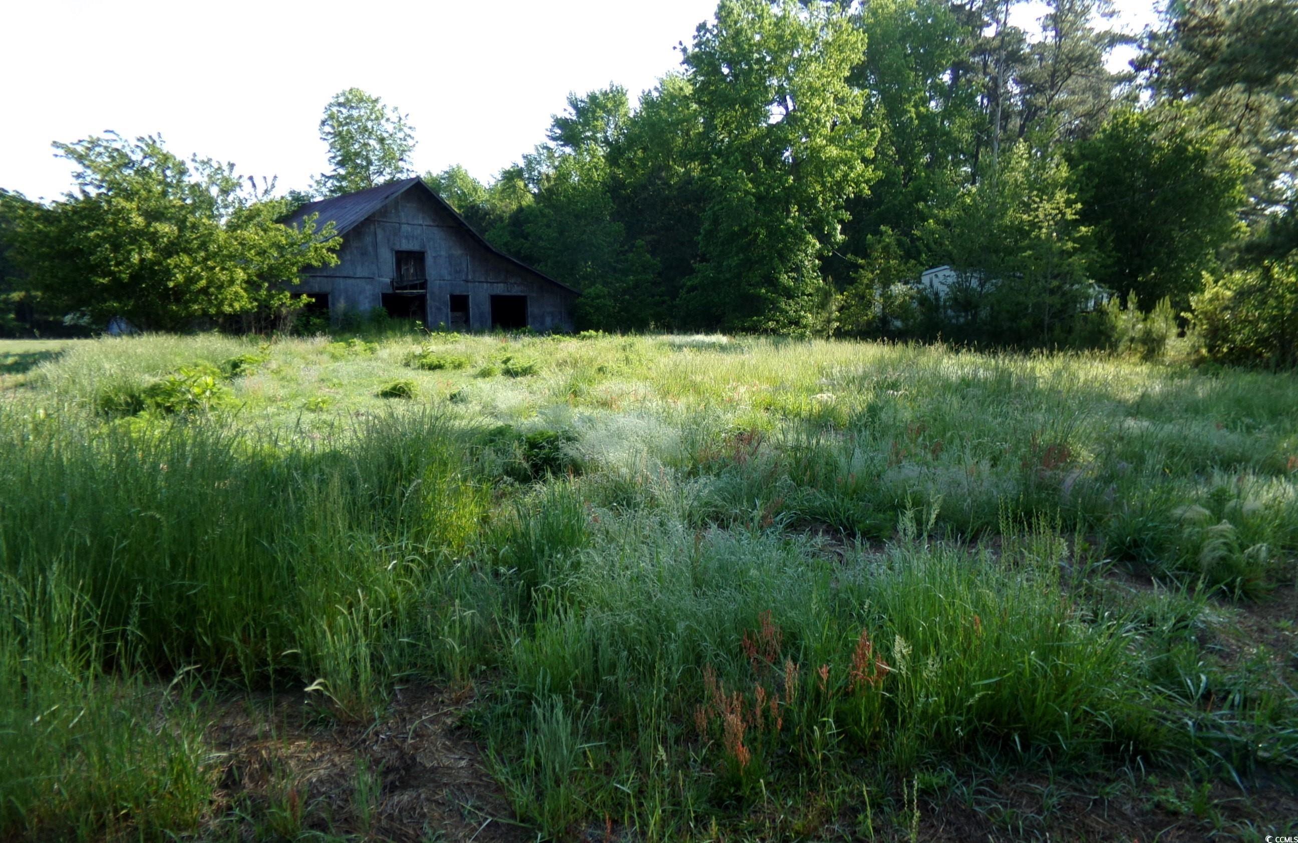 5369 Hamps Rd., Nichols, South Carolina image 6