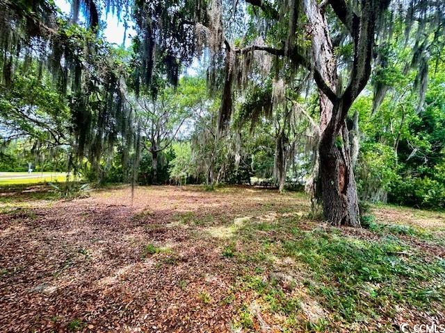 258 Bonnyneck Dr. Georgetown, SC 29440