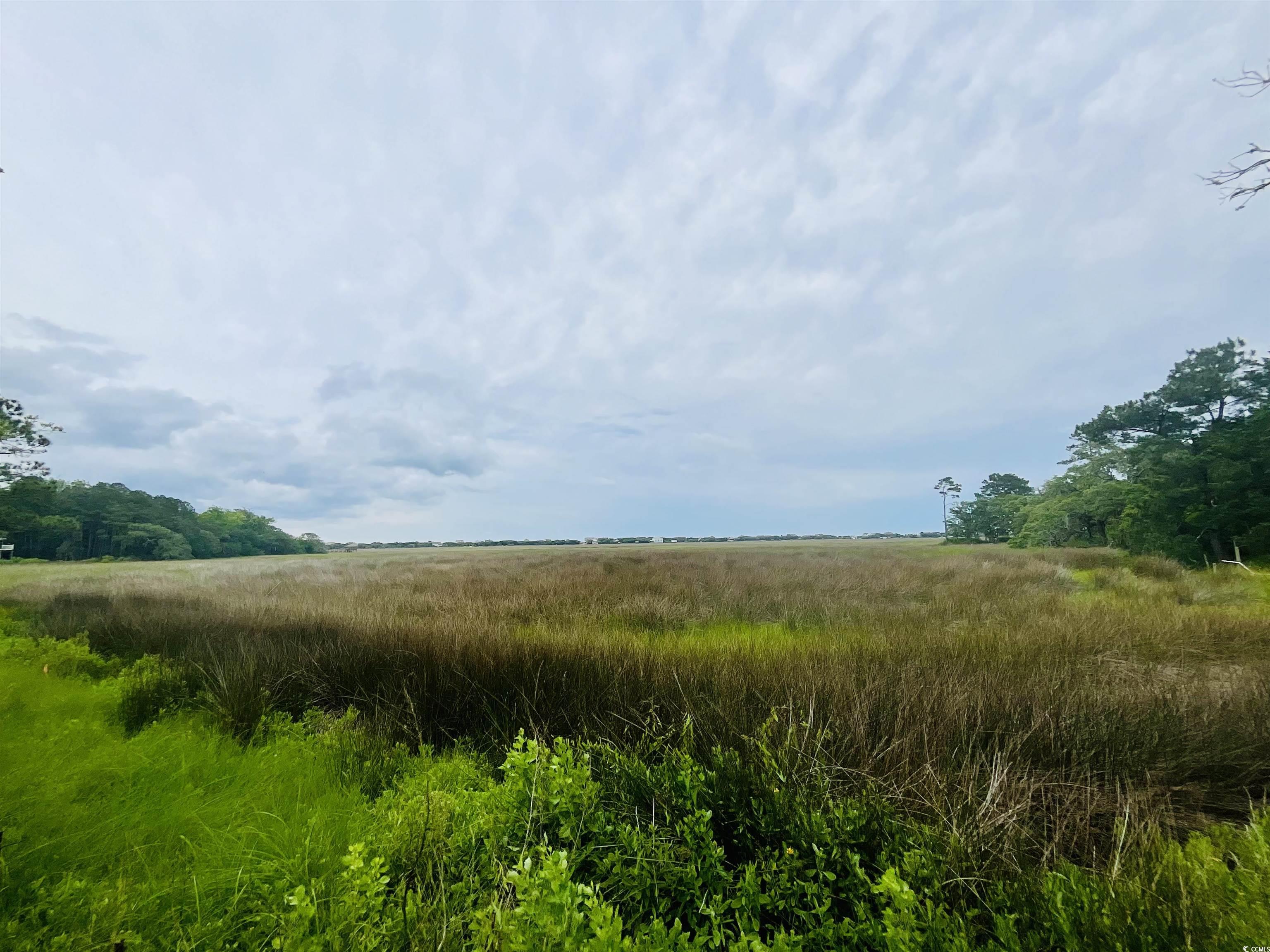 78 Mud Minnow Dr., Pawleys Island, South Carolina image 20