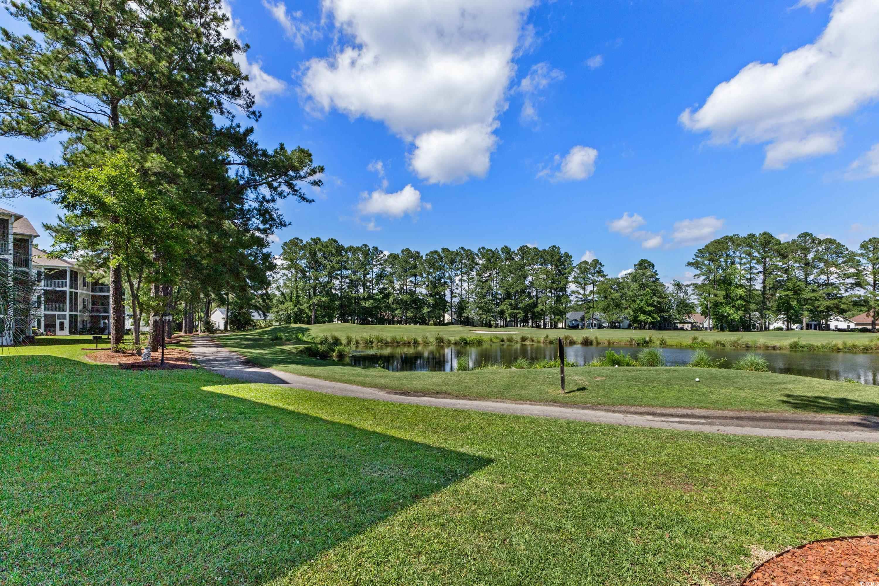 242 Sun Colony Blvd. #101, Longs, South Carolina image 26