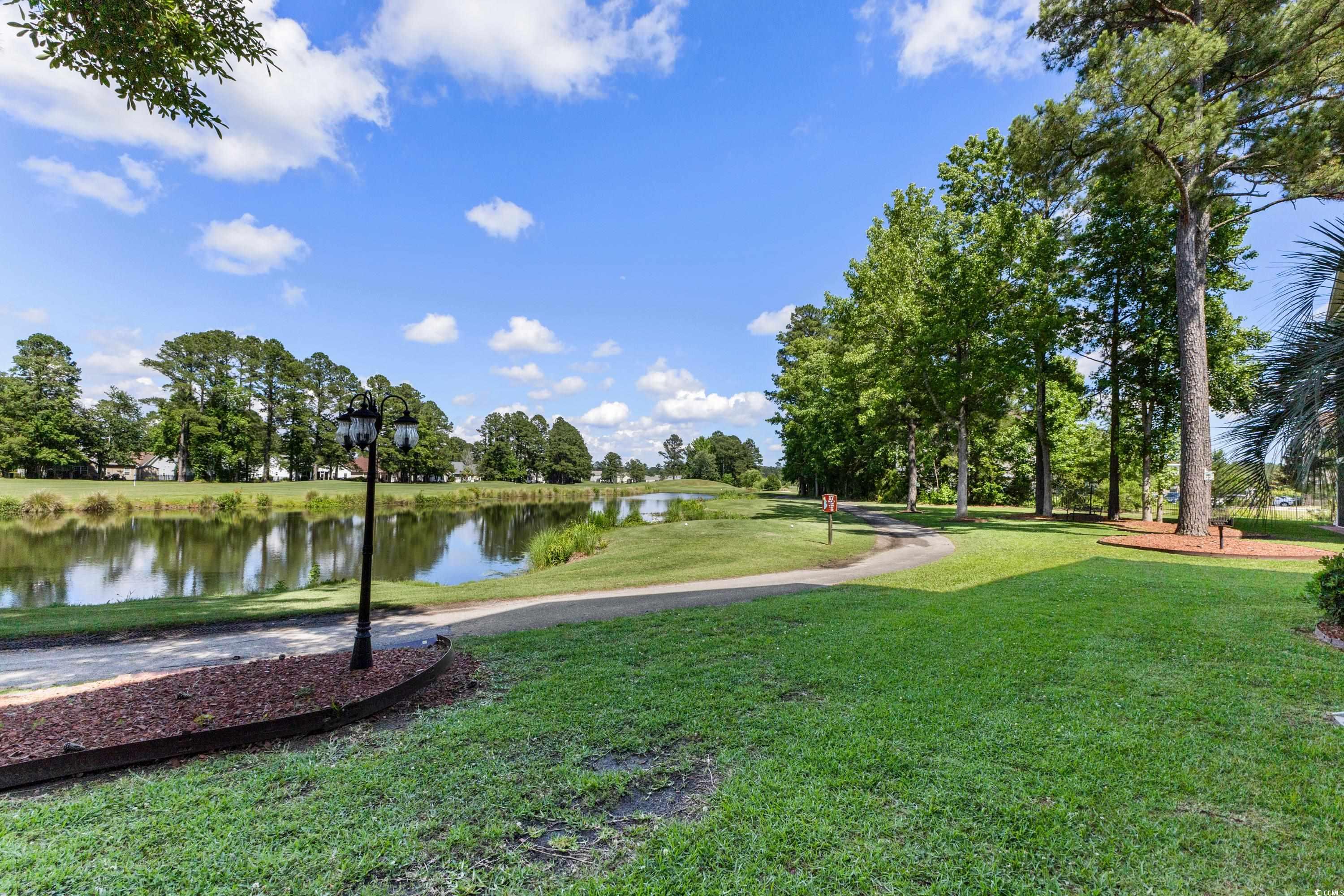 242 Sun Colony Blvd. #101, Longs, South Carolina image 27