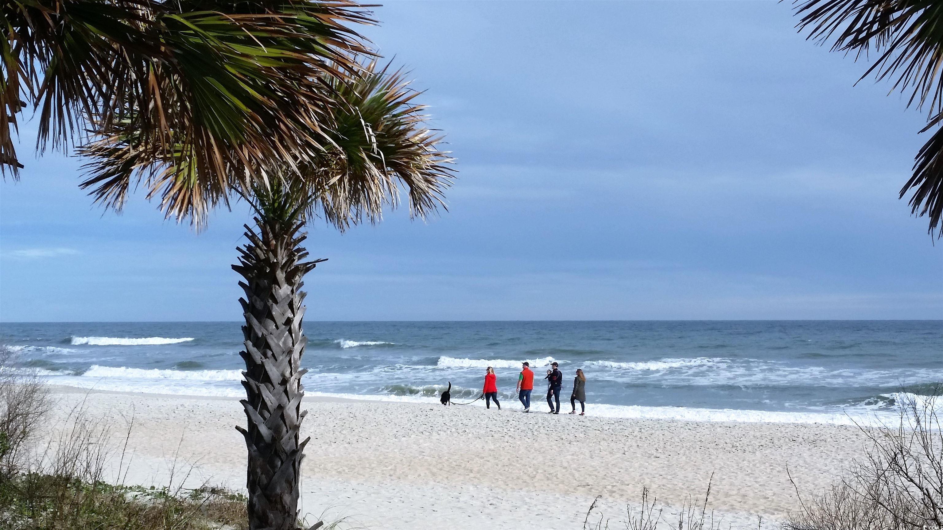 1 Norris Dr. #106, Pawleys Island, South Carolina image 33