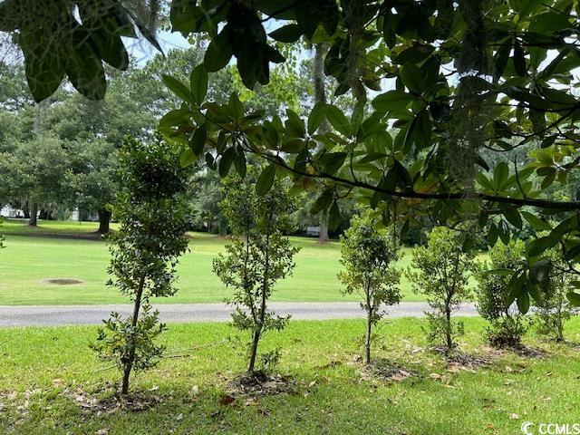 150 Wedgefield Village Rd. #24, Georgetown, South Carolina image 14