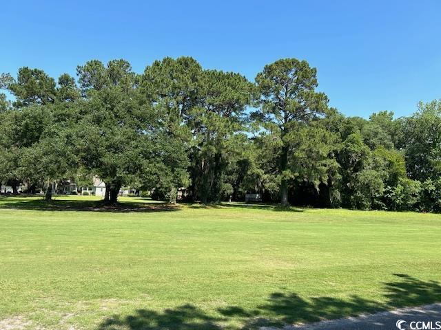 150 Wedgefield Village Rd. #24, Georgetown, South Carolina image 16