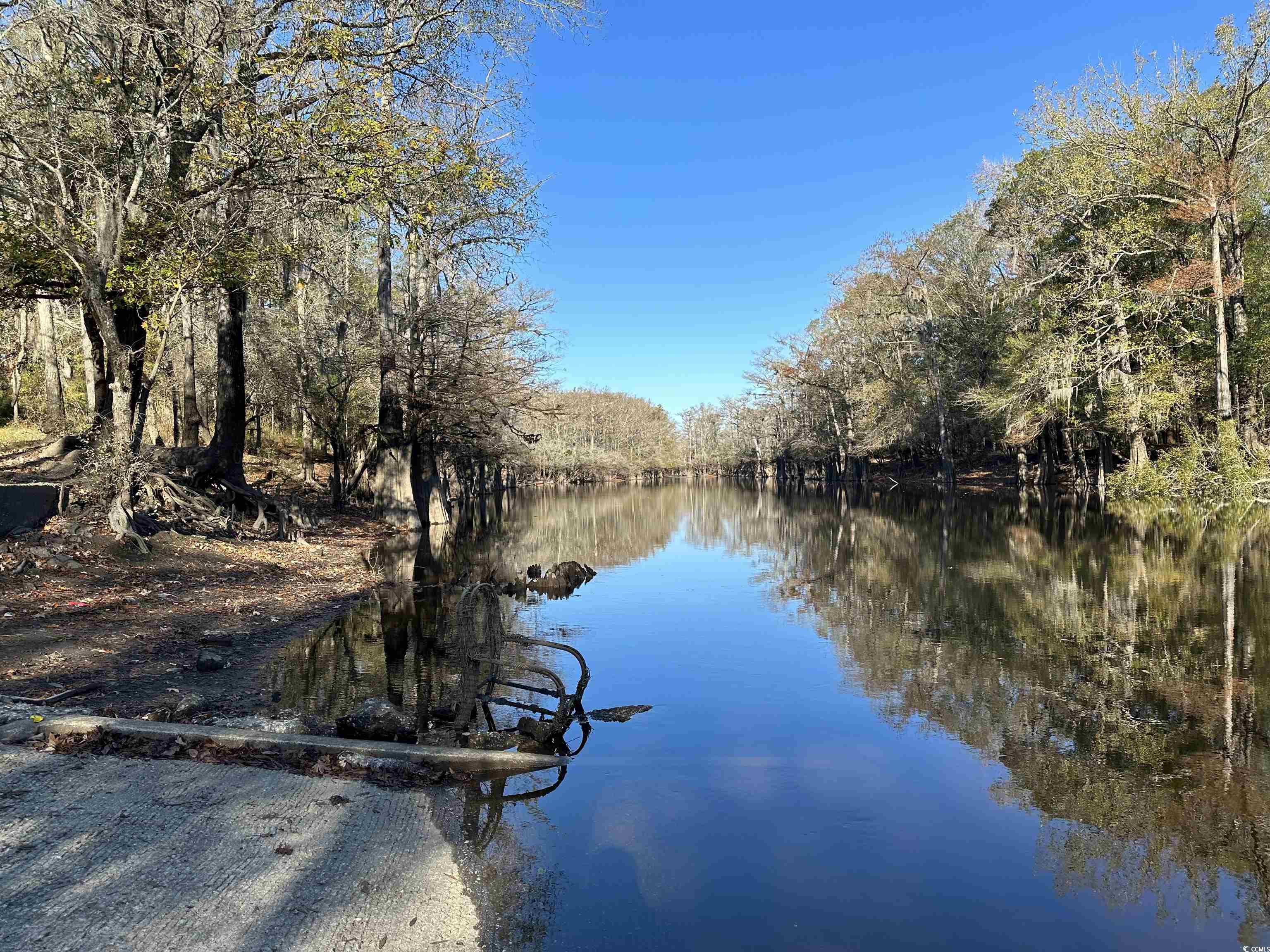 TBD Snows Lake Rd., Johnsonville, South Carolina image 1