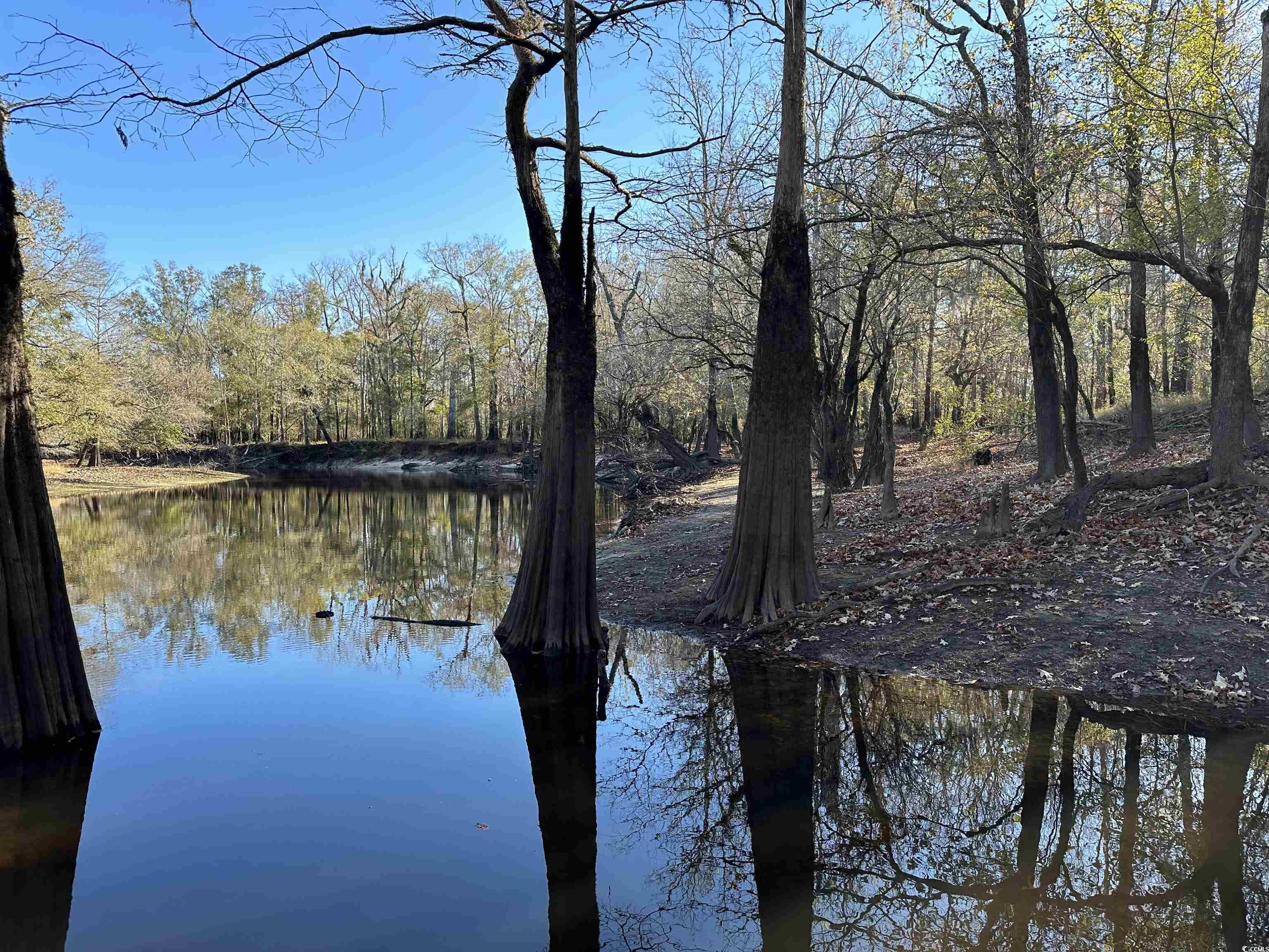 TBD Snows Lake Rd., Johnsonville, South Carolina image 10