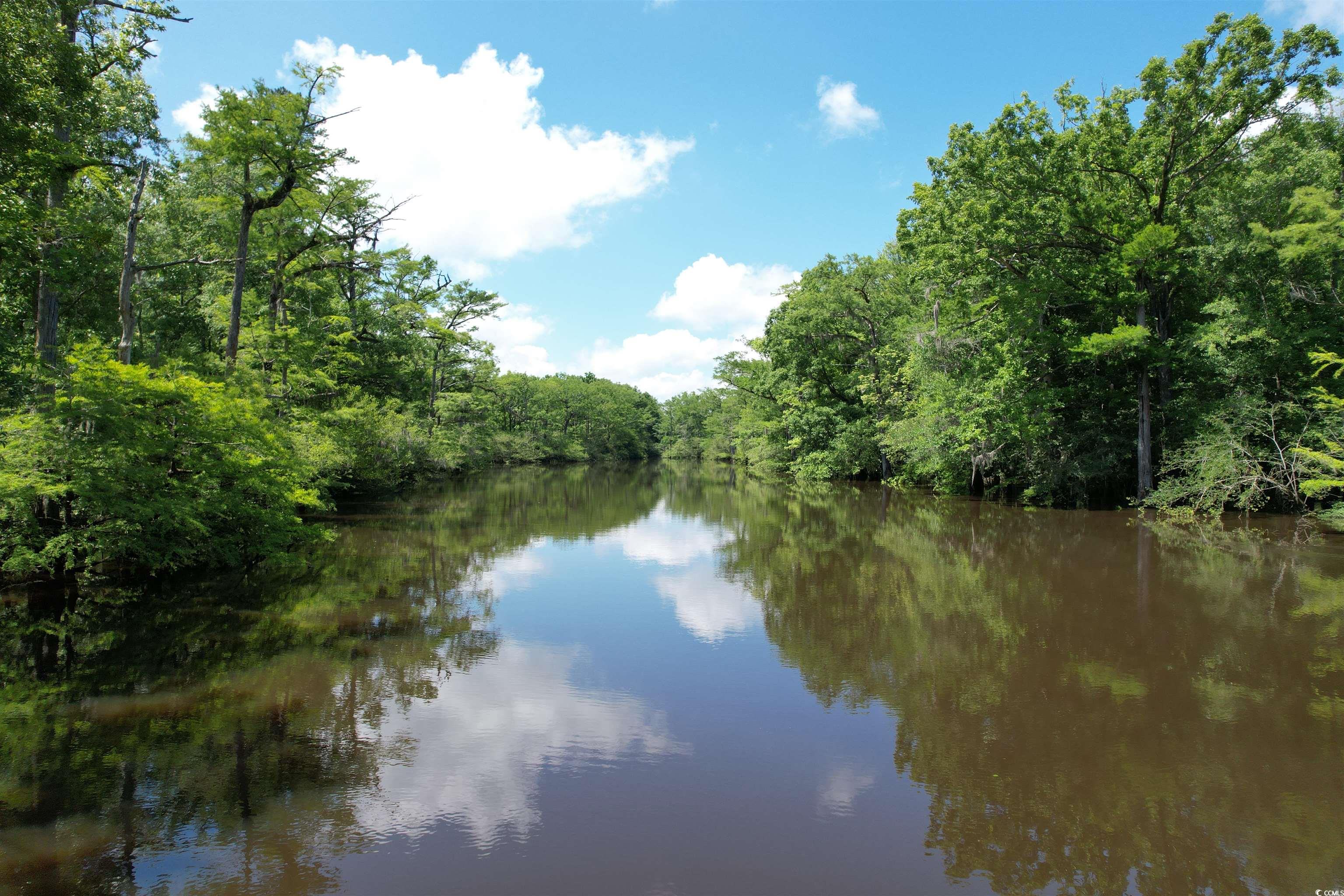 TBD Snows Lake Rd., Johnsonville, South Carolina image 14