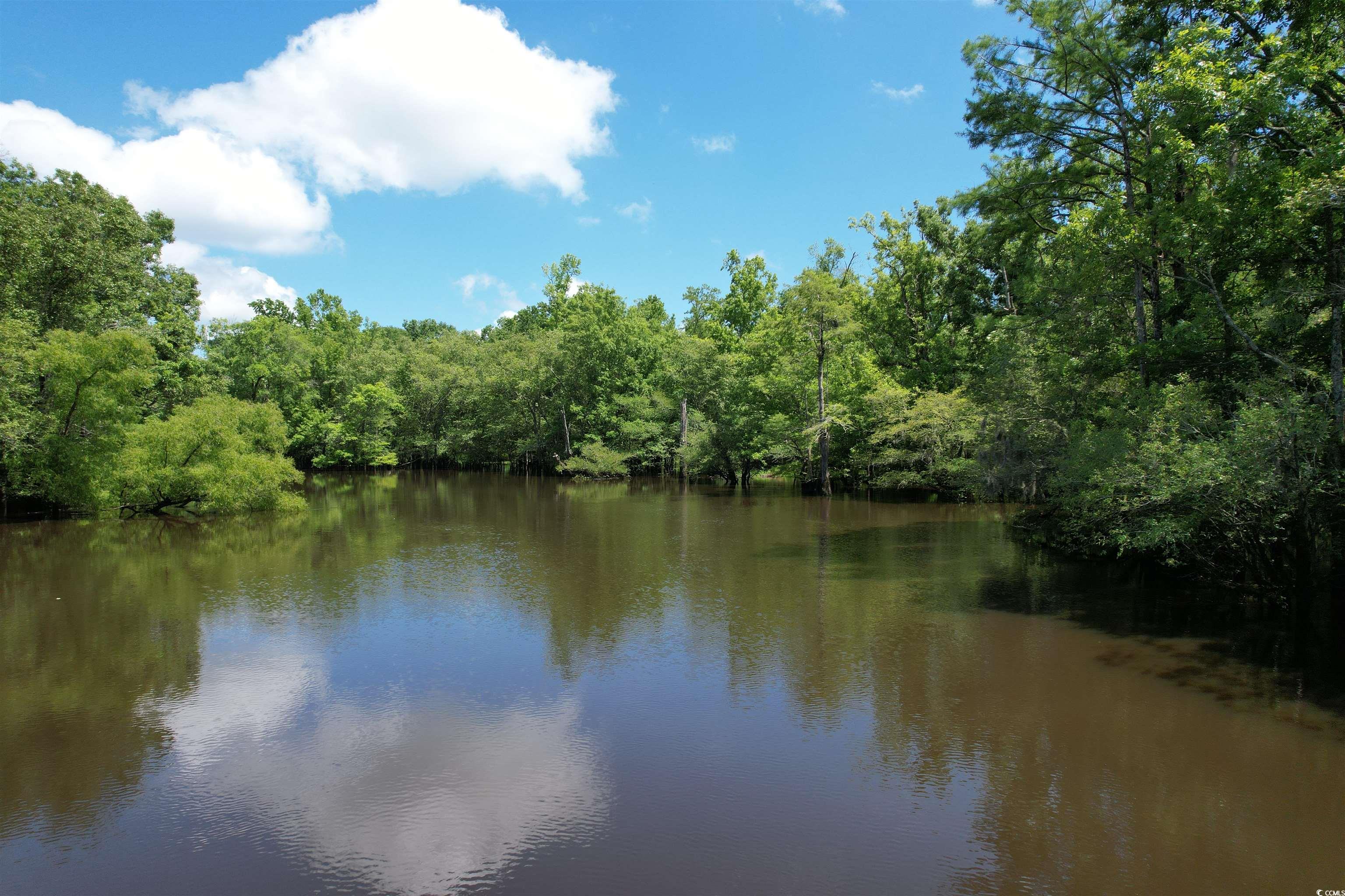 TBD Snows Lake Rd., Johnsonville, South Carolina image 15