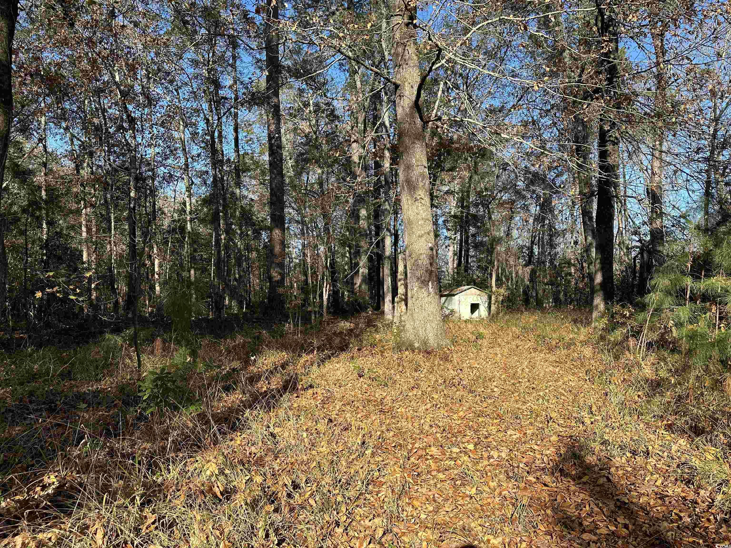 TBD Snows Lake Rd., Johnsonville, South Carolina image 5