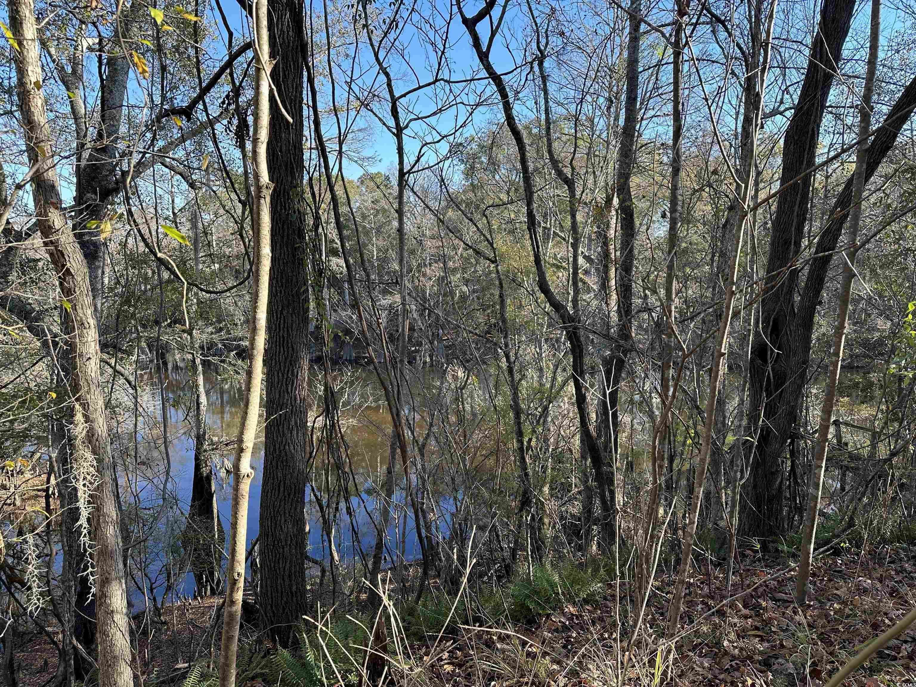 TBD Snows Lake Rd., Johnsonville, South Carolina image 6