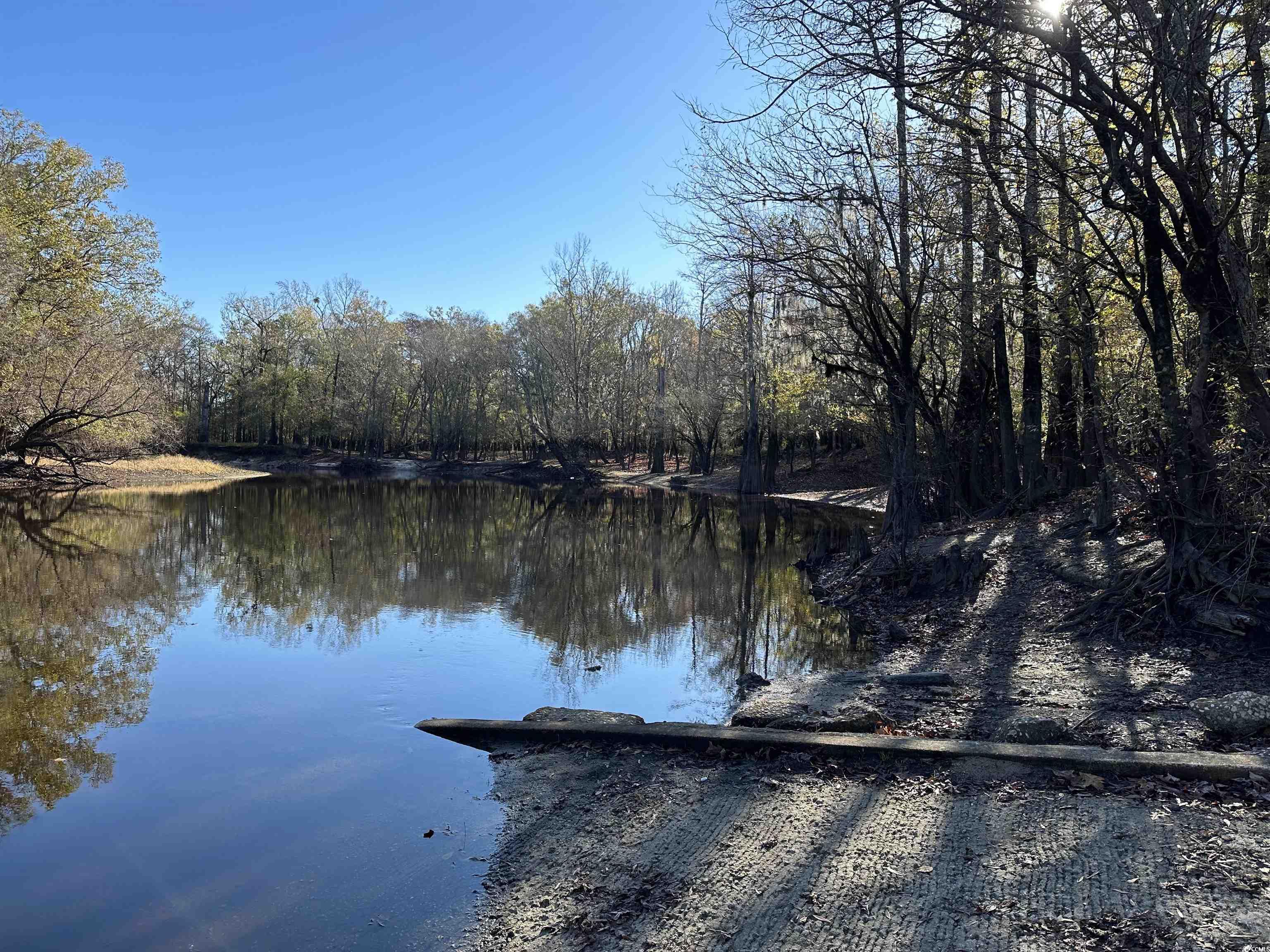 TBD Snows Lake Rd., Johnsonville, South Carolina image 8