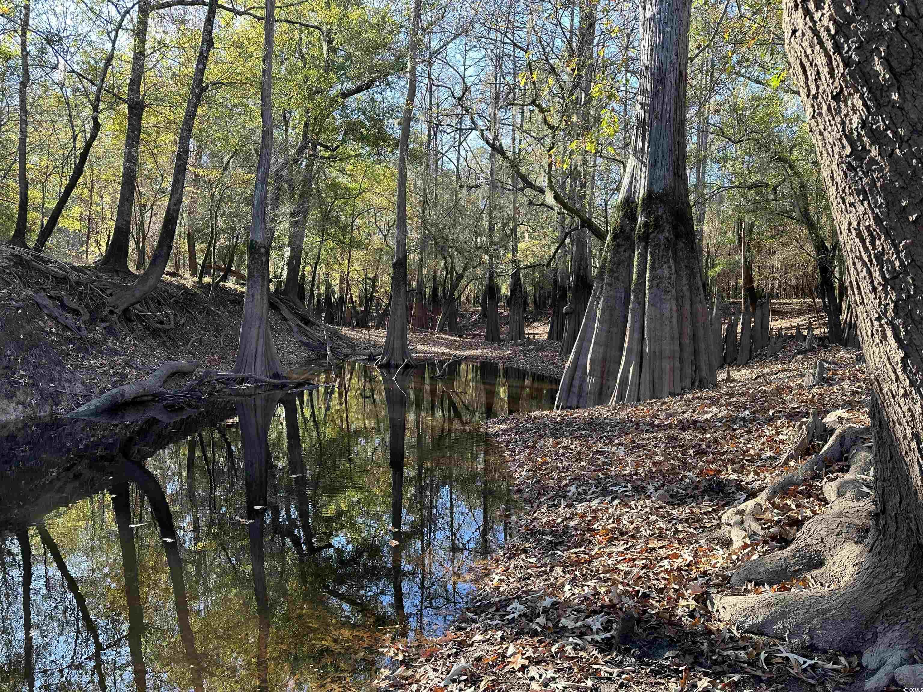 TBD Snows Lake Rd., Johnsonville, South Carolina image 9