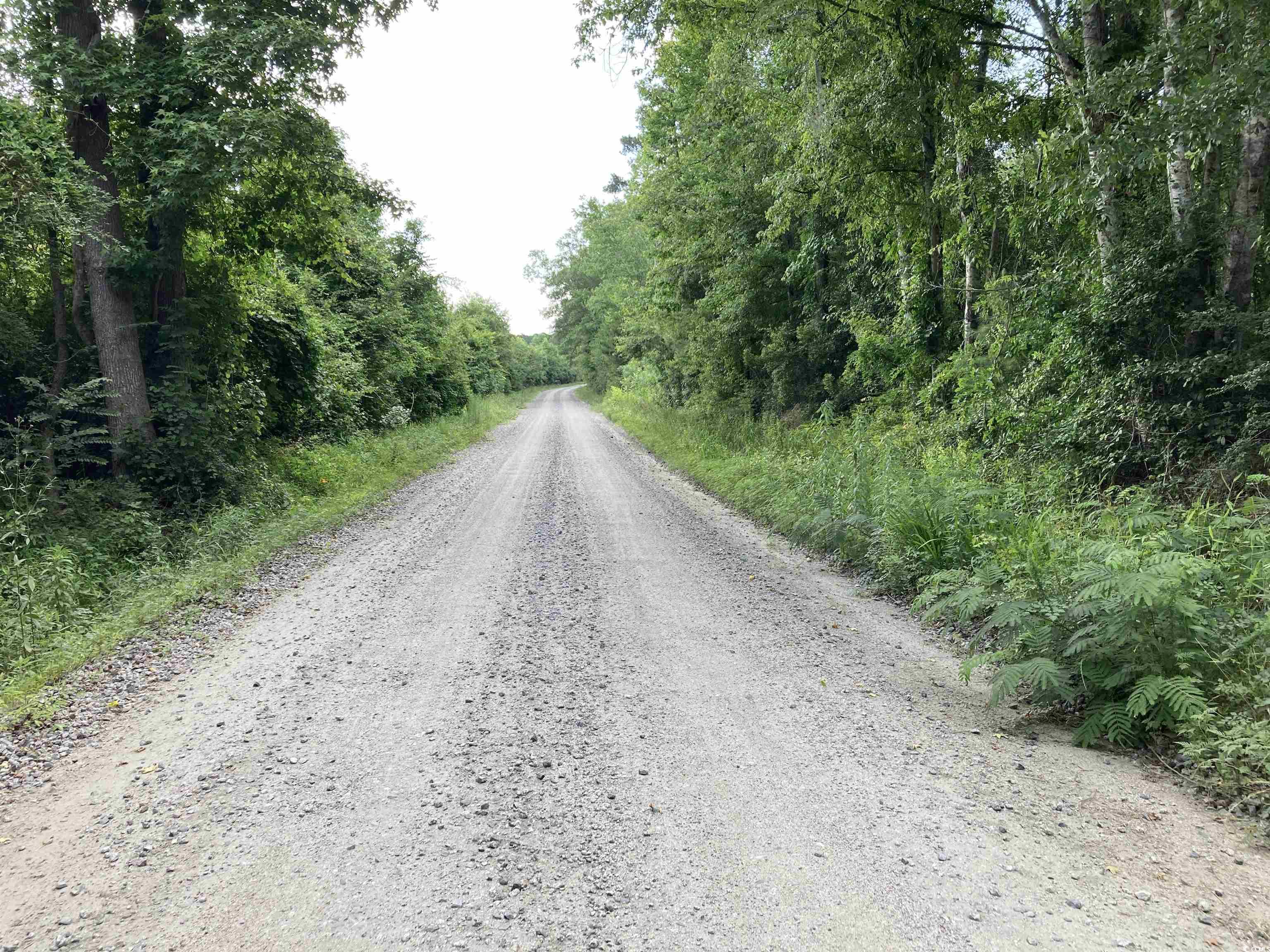 TBD Fox Bay Rd., Johnsonville, South Carolina image 4