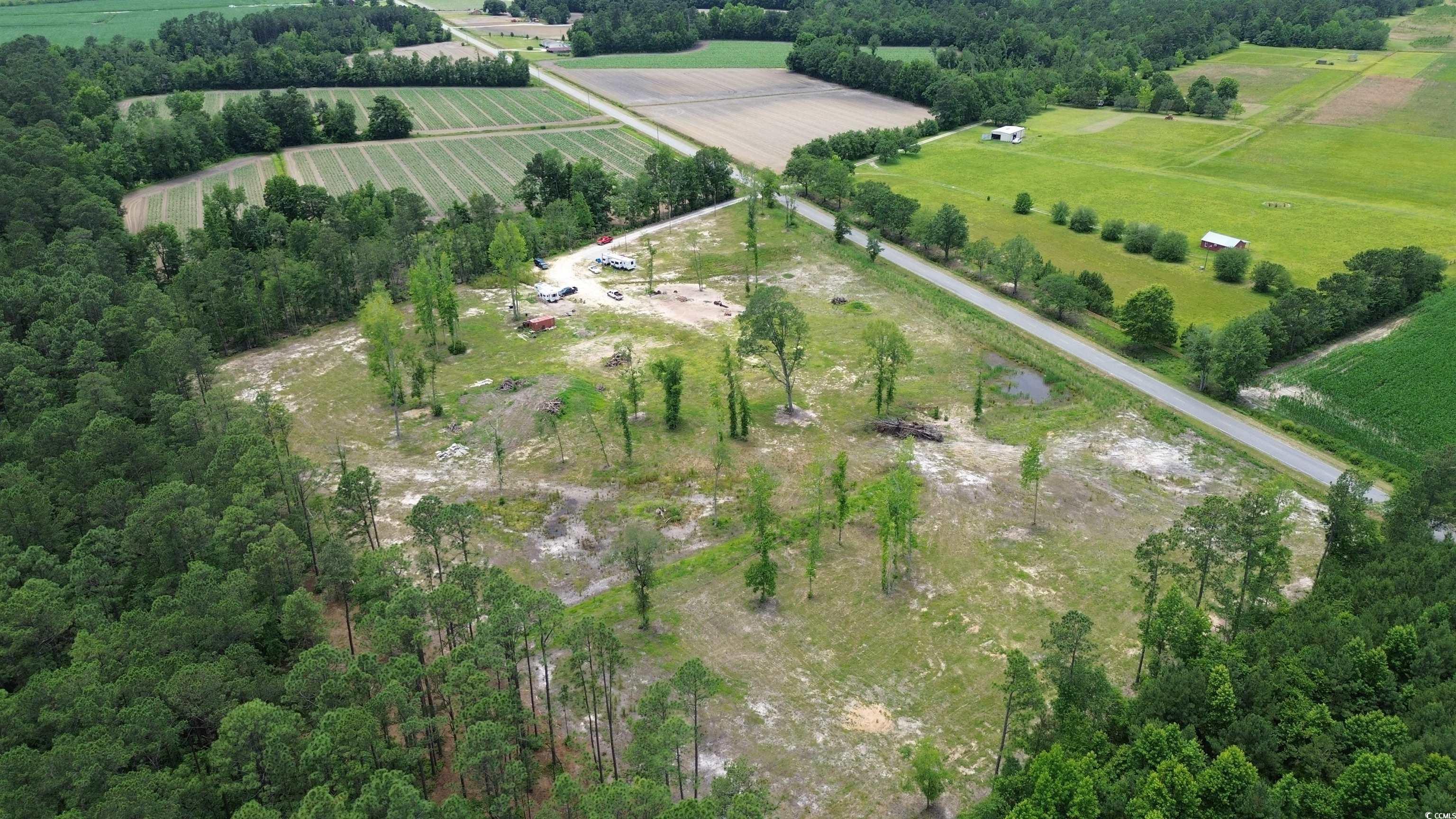 TBD Mount Olive Church Rd., Green Sea, South Carolina image 3