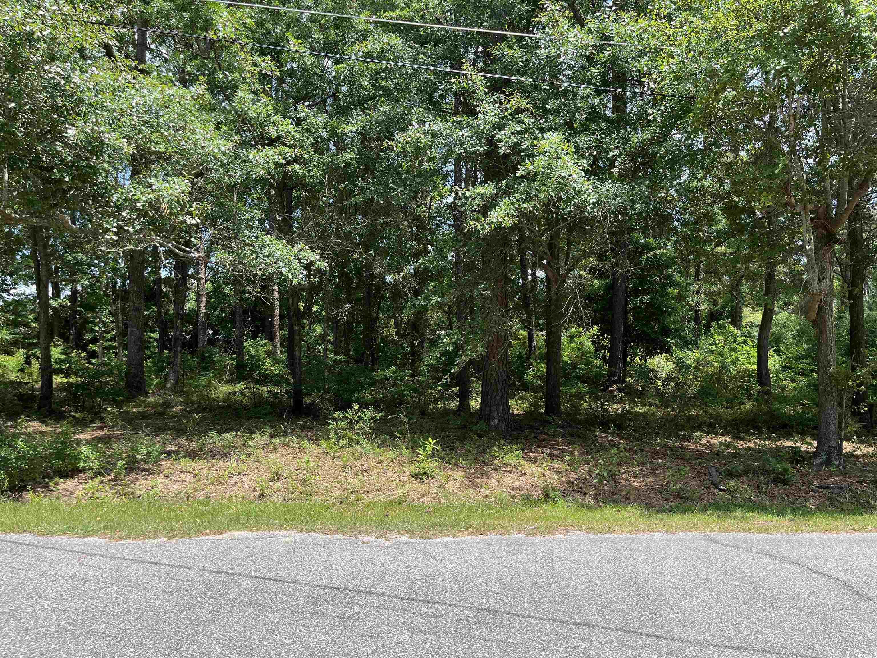 TBD Maple Ave. Johnsonville, SC 29555