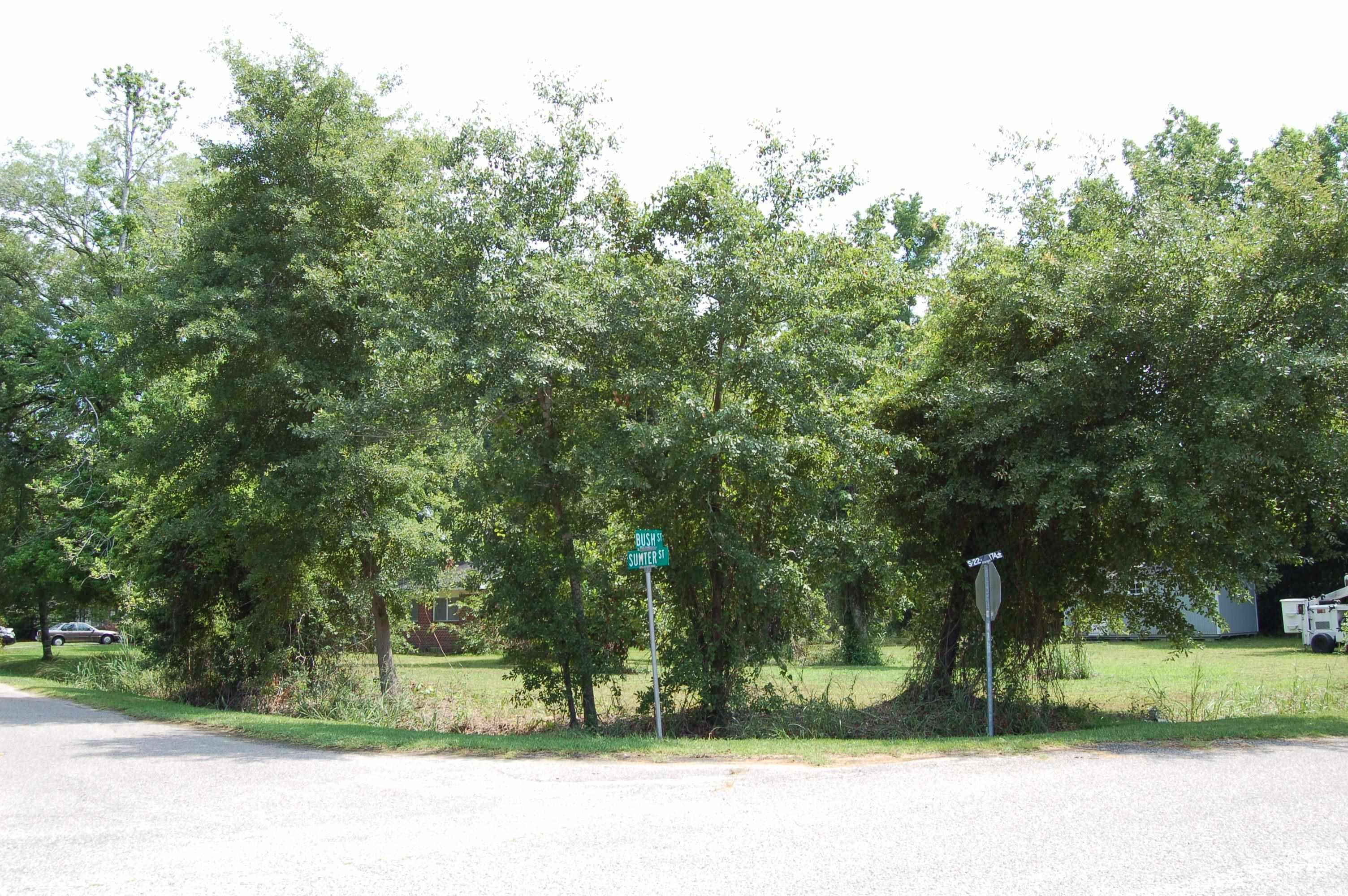 1824 Sumter St., Georgetown, South Carolina image 1