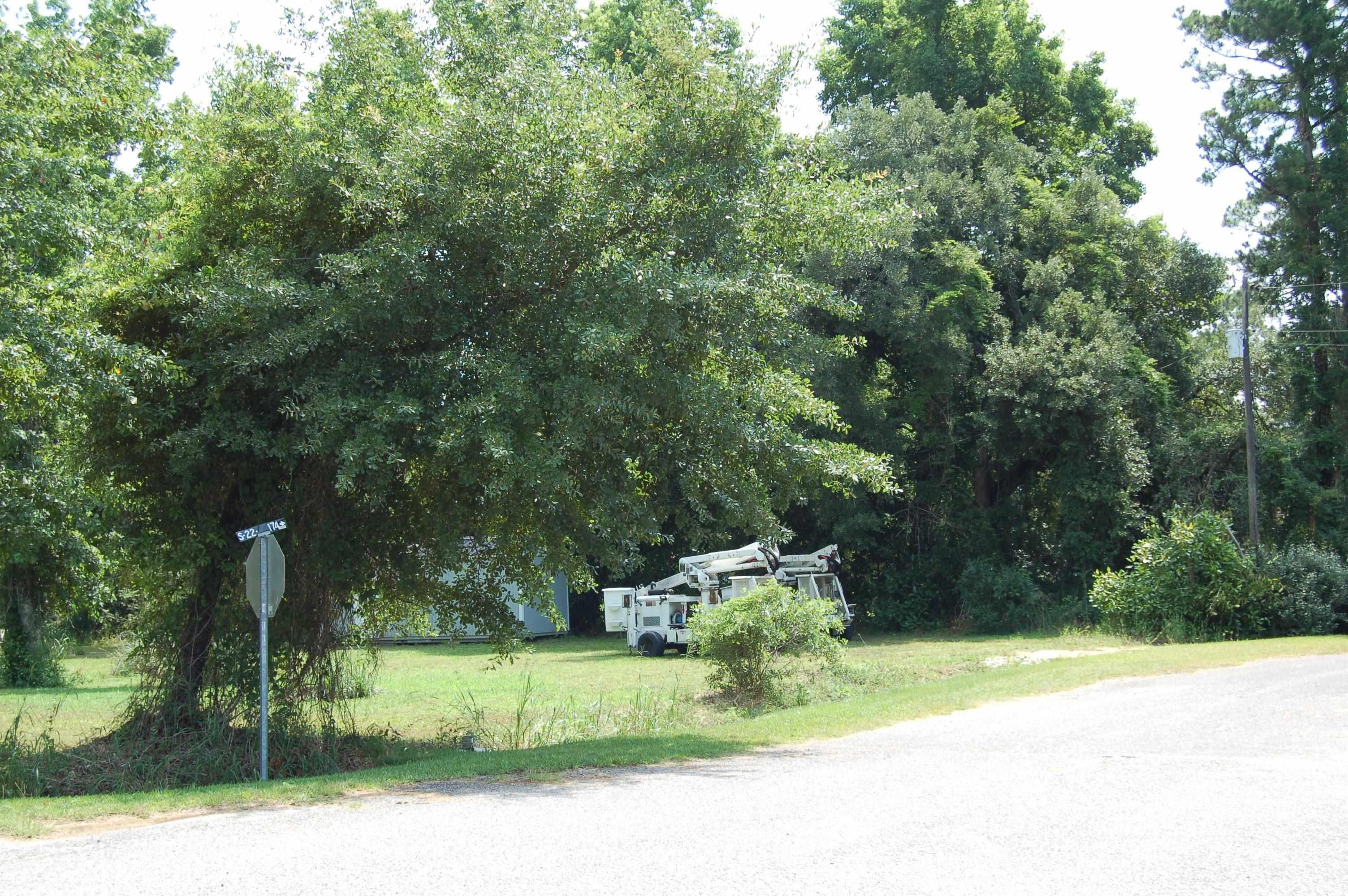 TB2 Red Bluff Rd., Loris, South Carolina image 3