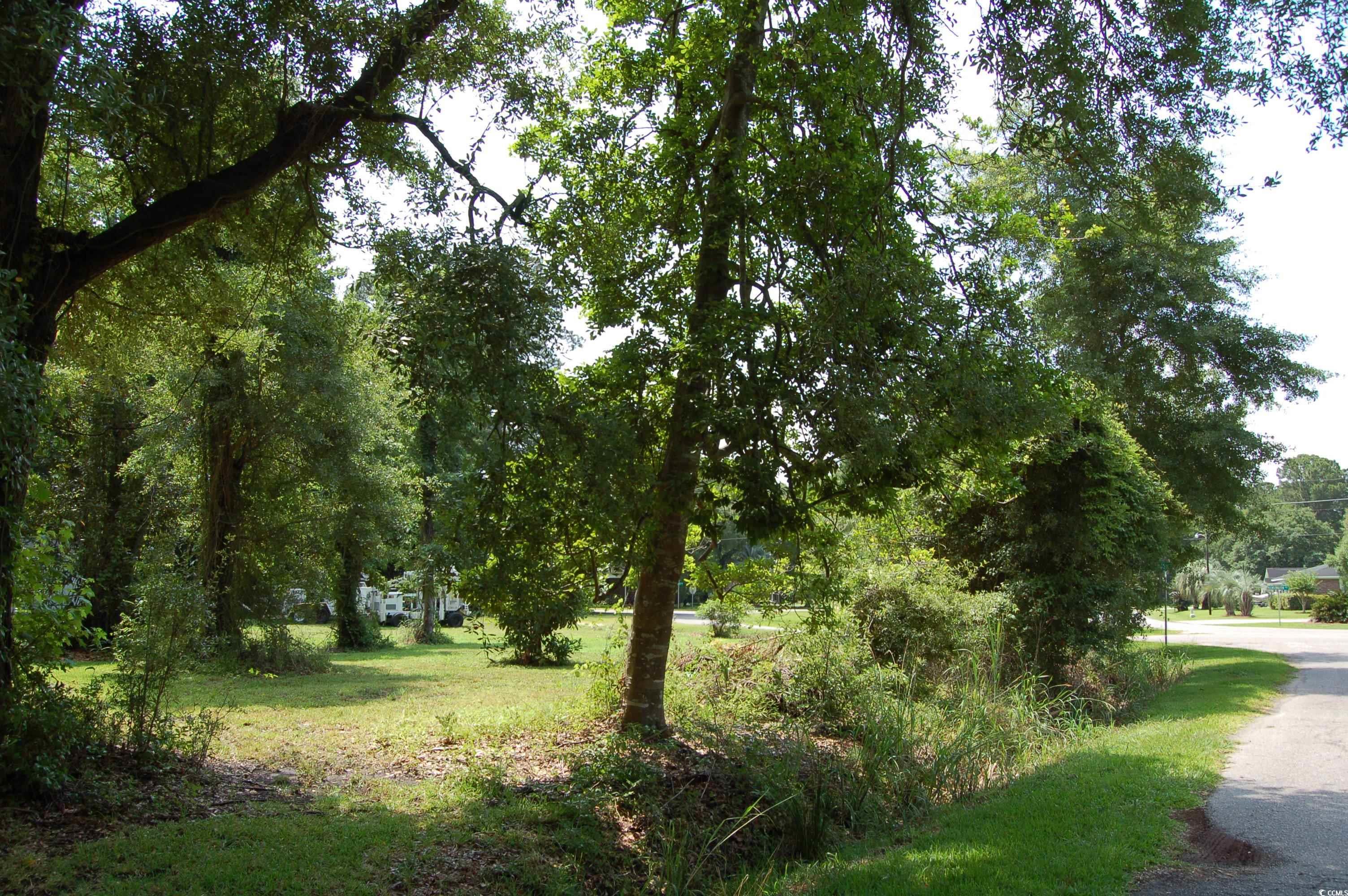 TB2 Red Bluff Rd., Loris, South Carolina image 4