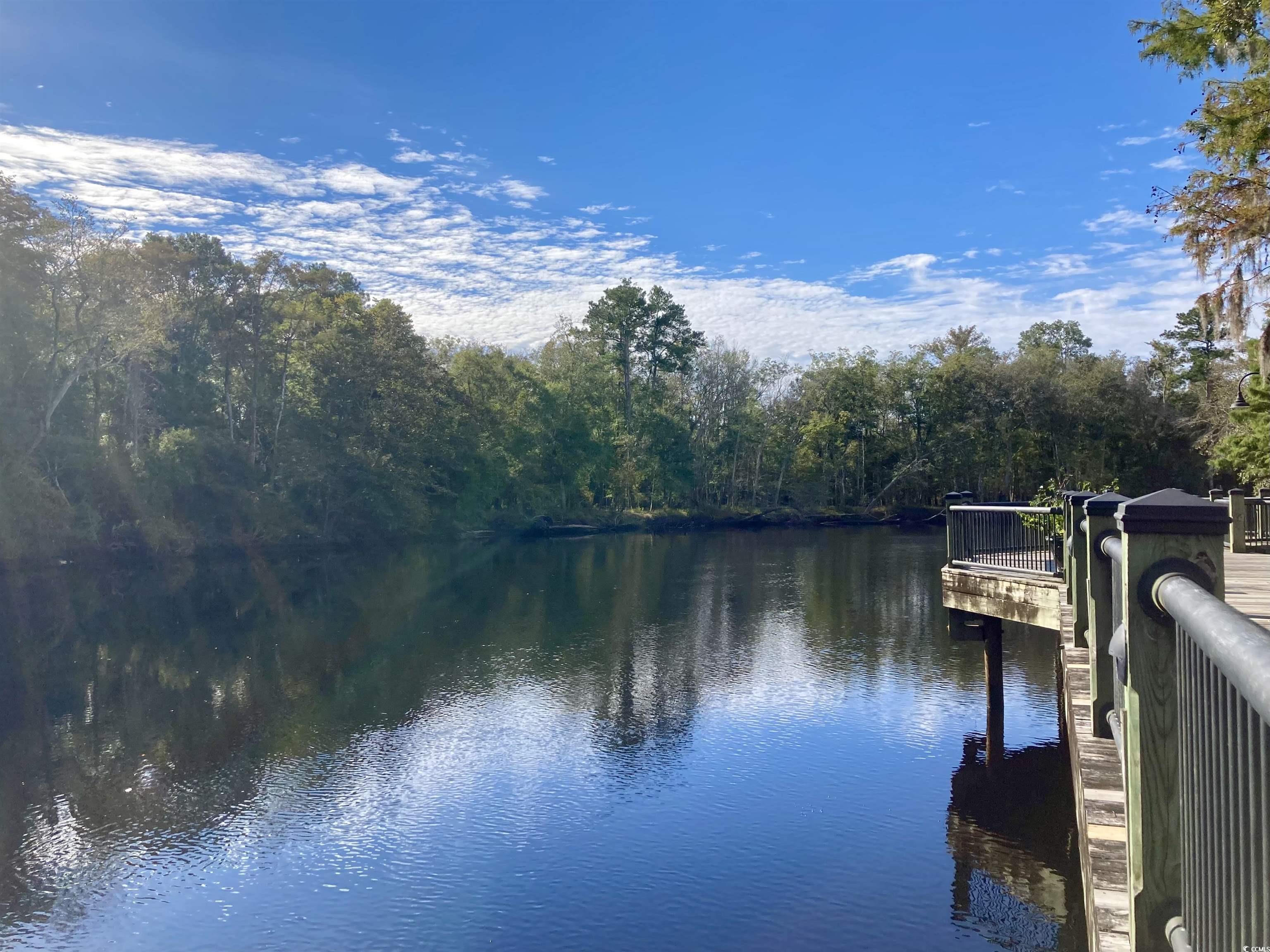 4761 Huckleberry Ln., Conway, South Carolina image 40