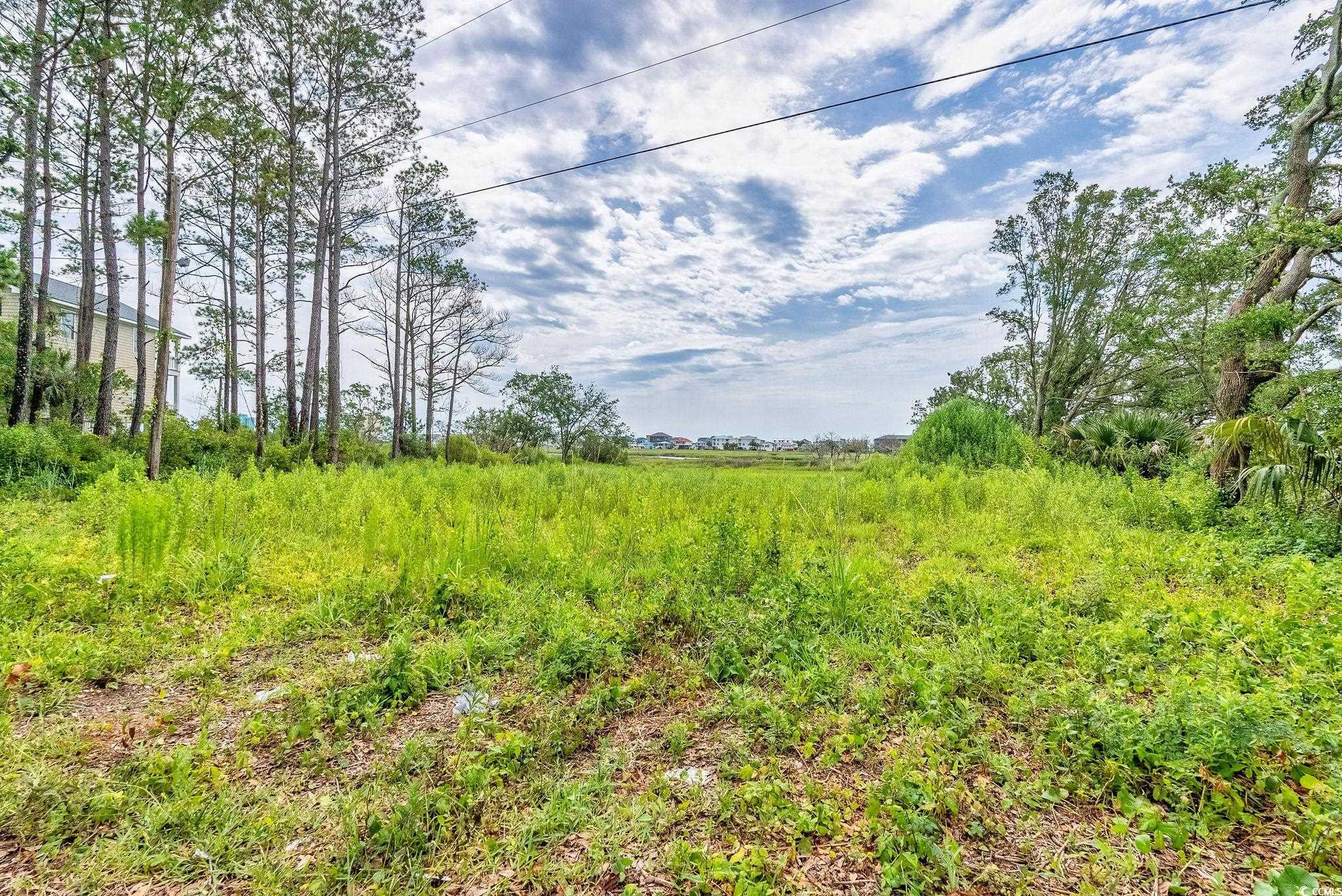 Lot 4 Seacrest Dr., Garden City Beach, South Carolina image 12