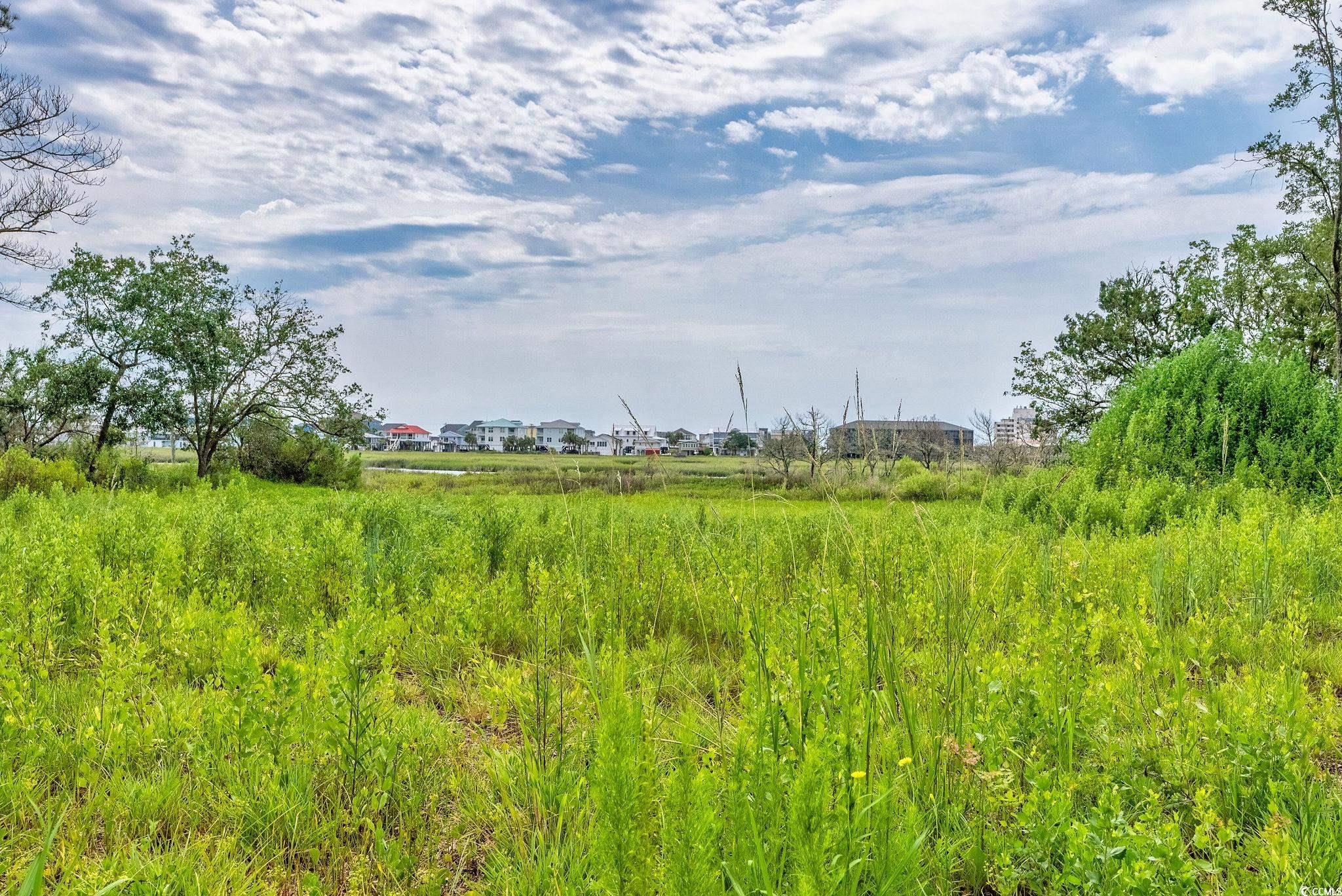 Lot 4 Seacrest Dr., Garden City Beach, South Carolina image 13