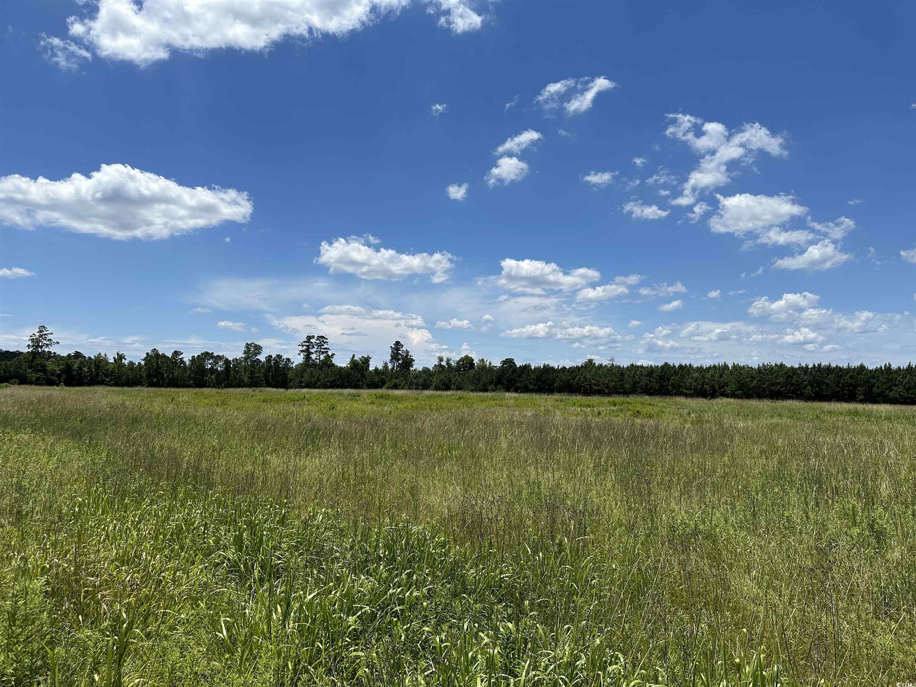 TBD Martin Luther King Jr. Hwy., Kingstree, South Carolina image 3