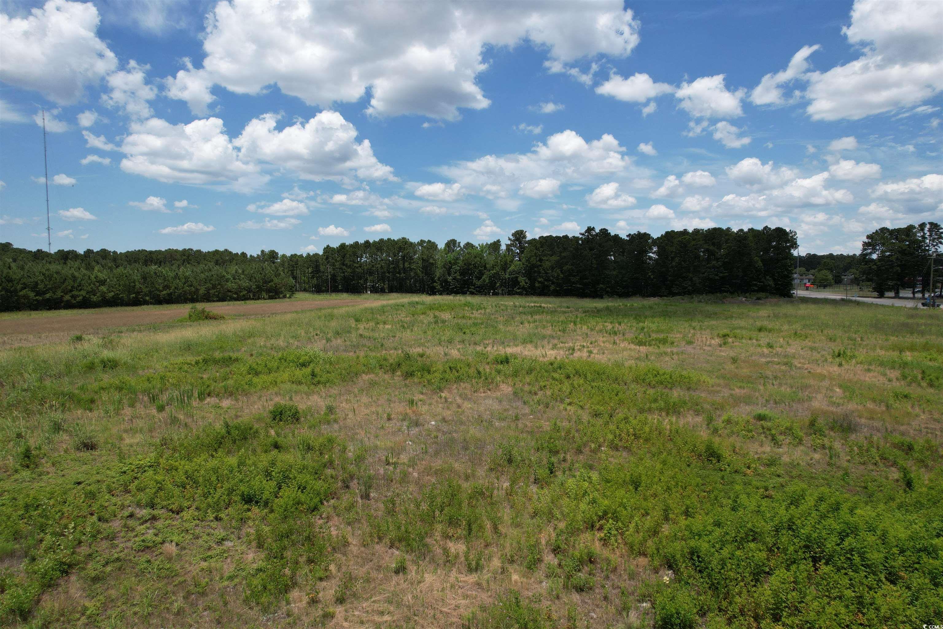 TBD Martin Luther King Jr. Hwy., Kingstree, South Carolina image 6