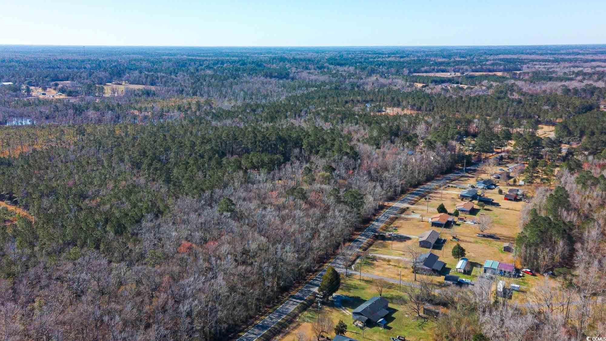 Lot 2 Highway 472, Conway, South Carolina image 1