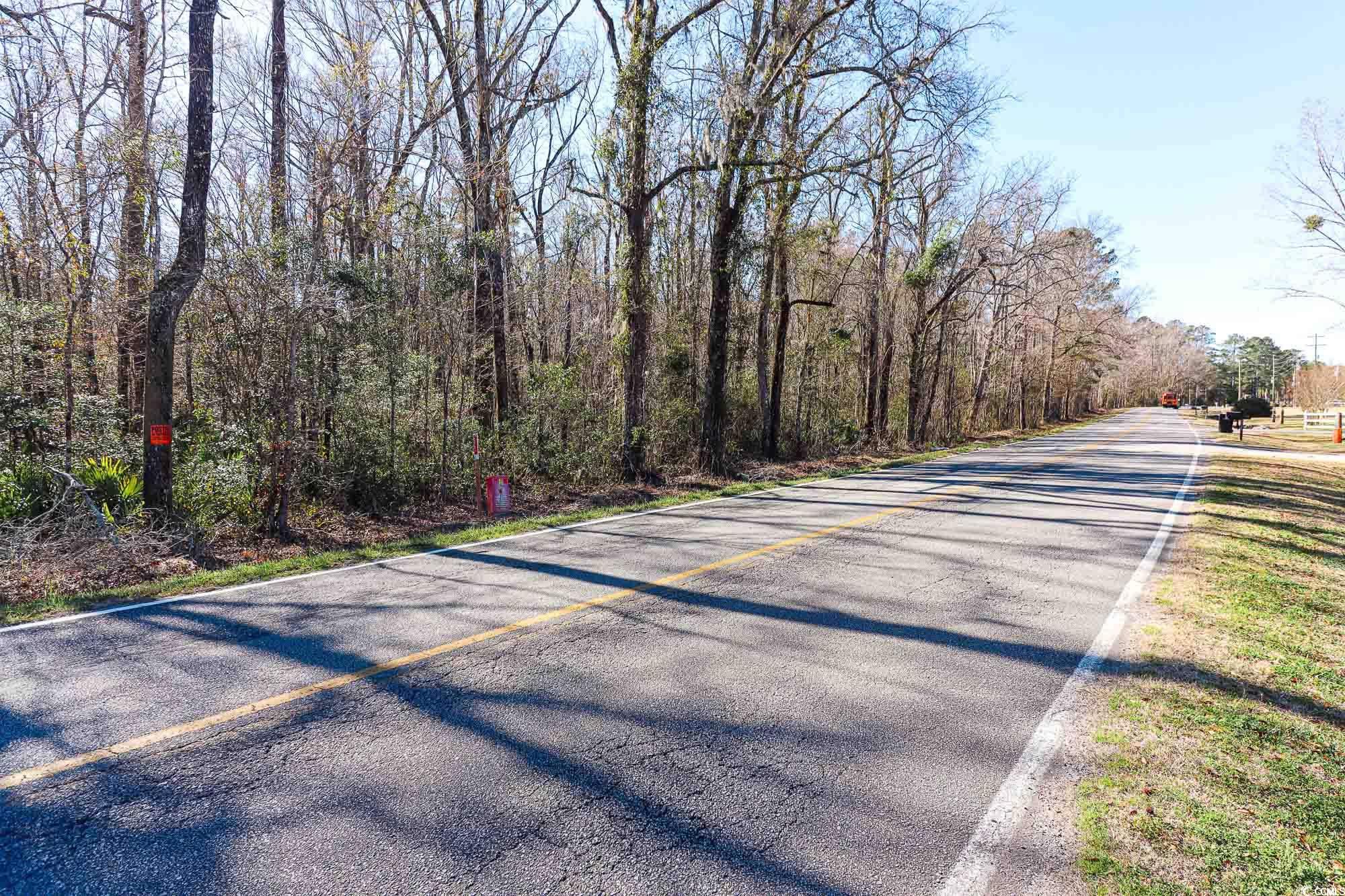 Lot 2 Highway 472, Conway, South Carolina image 6