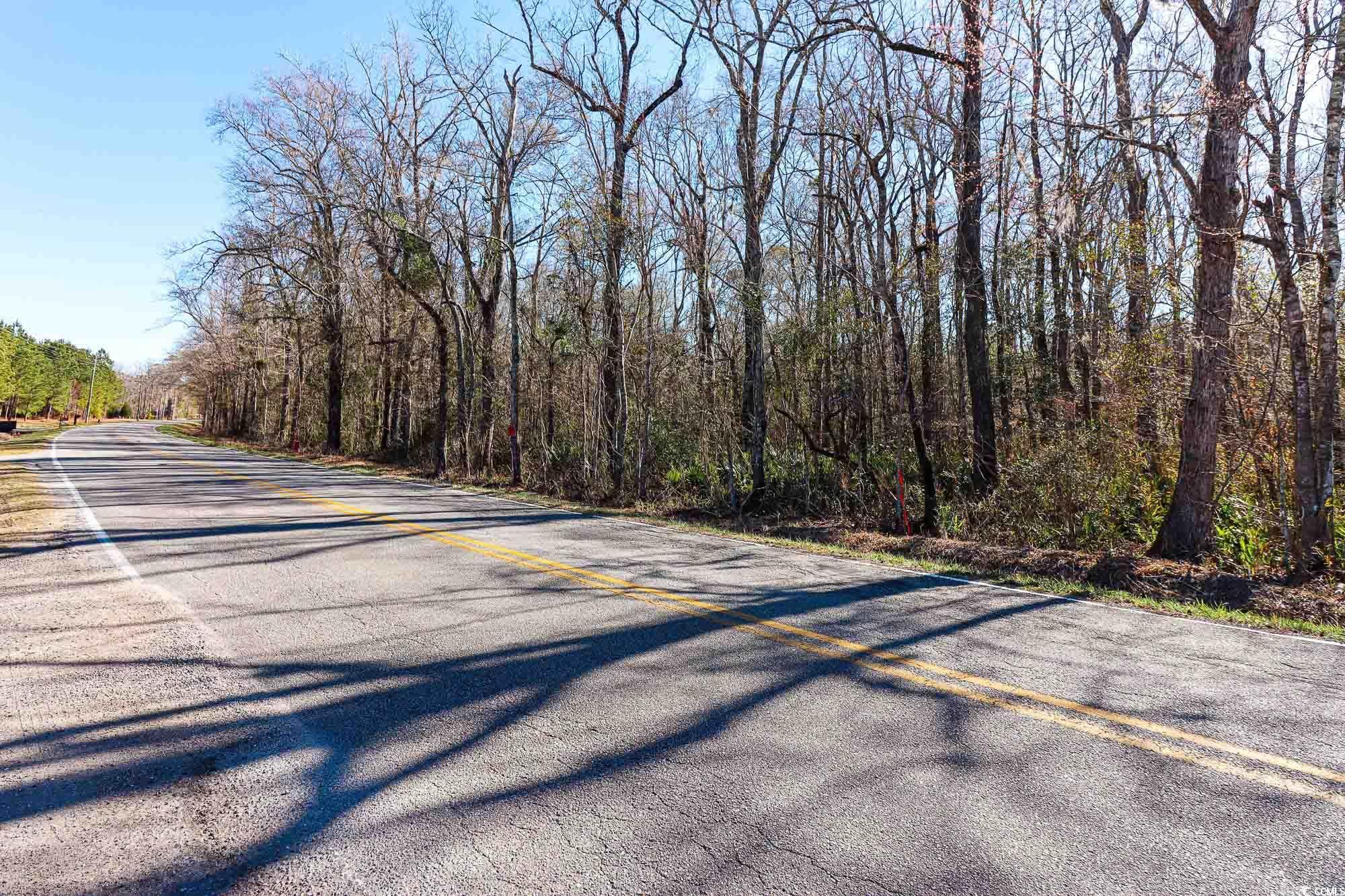 Lot 2 Highway 472, Conway, South Carolina image 7