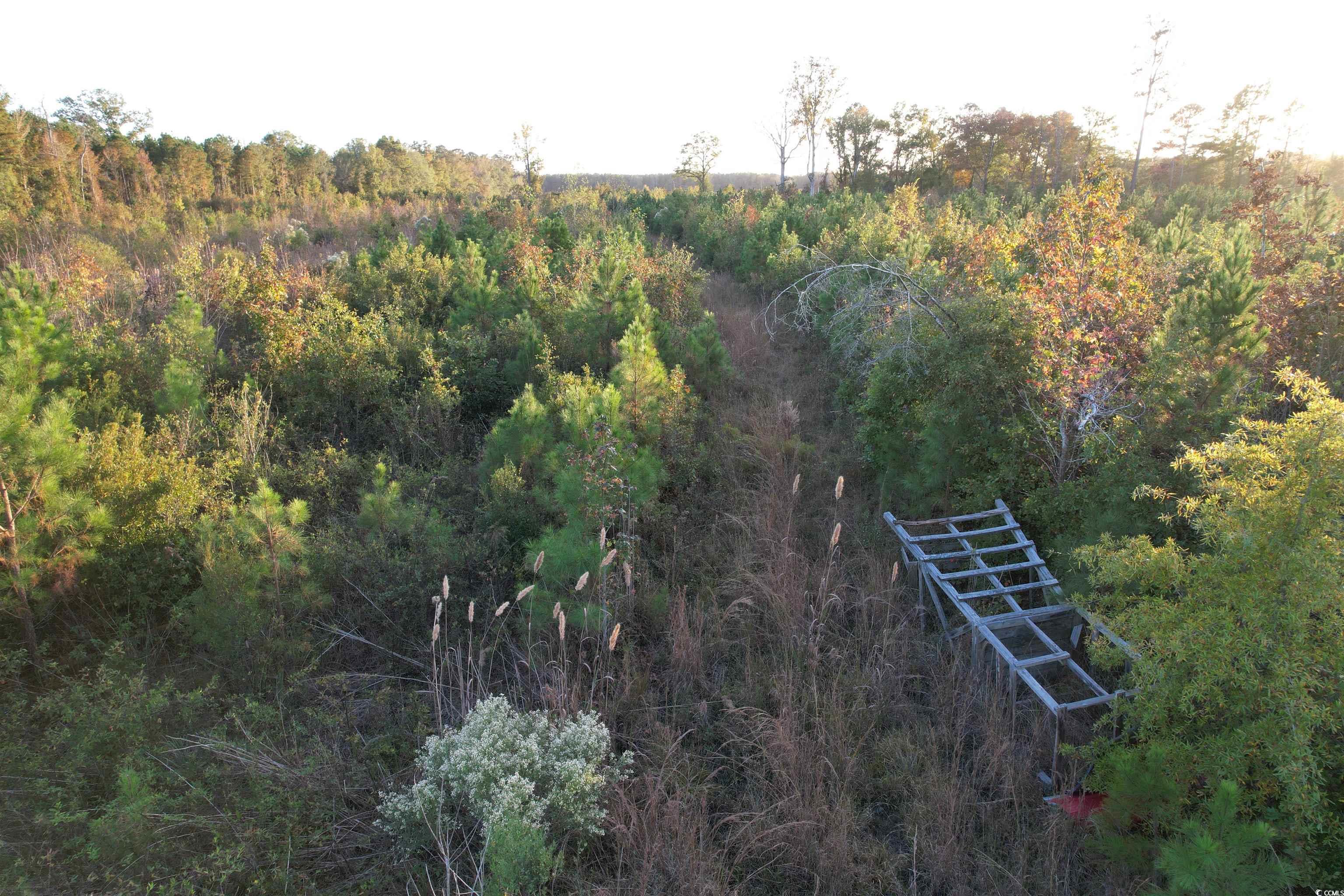 1763 St. James Rd., Hemingway, South Carolina image 13