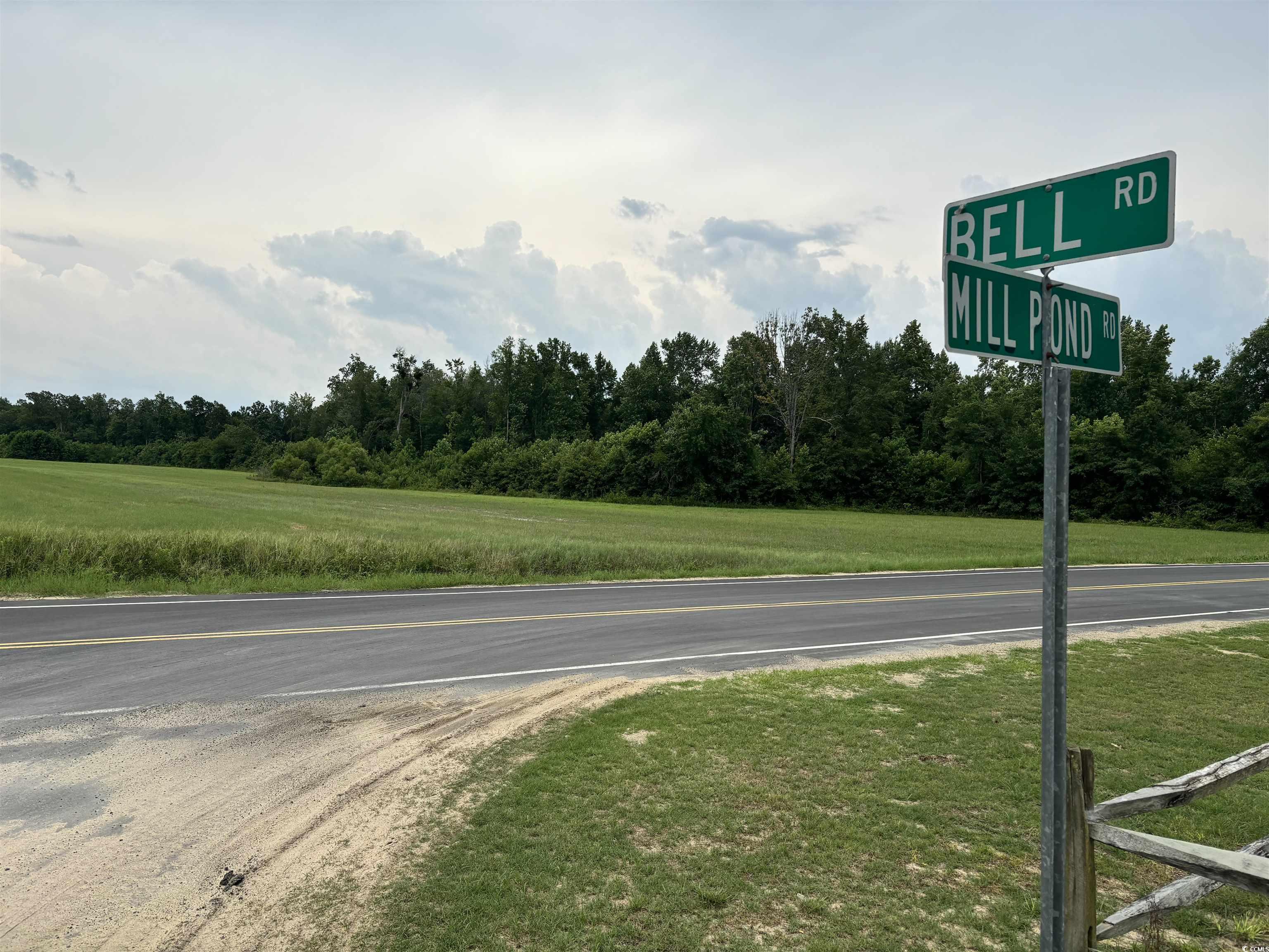 TBD Mill Pond Rd., Loris, South Carolina image 2