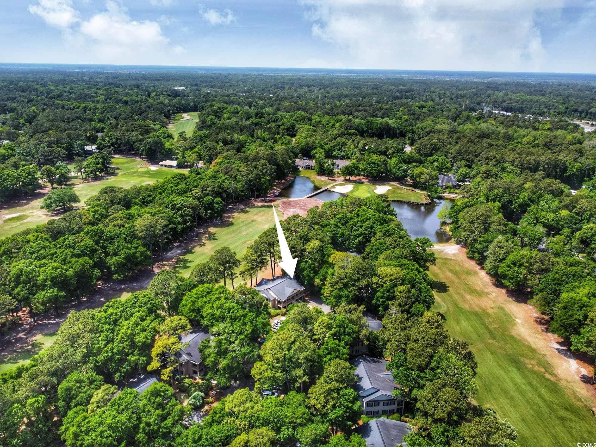 141-2 Weehawka Way #2, Pawleys Island, South Carolina image 33