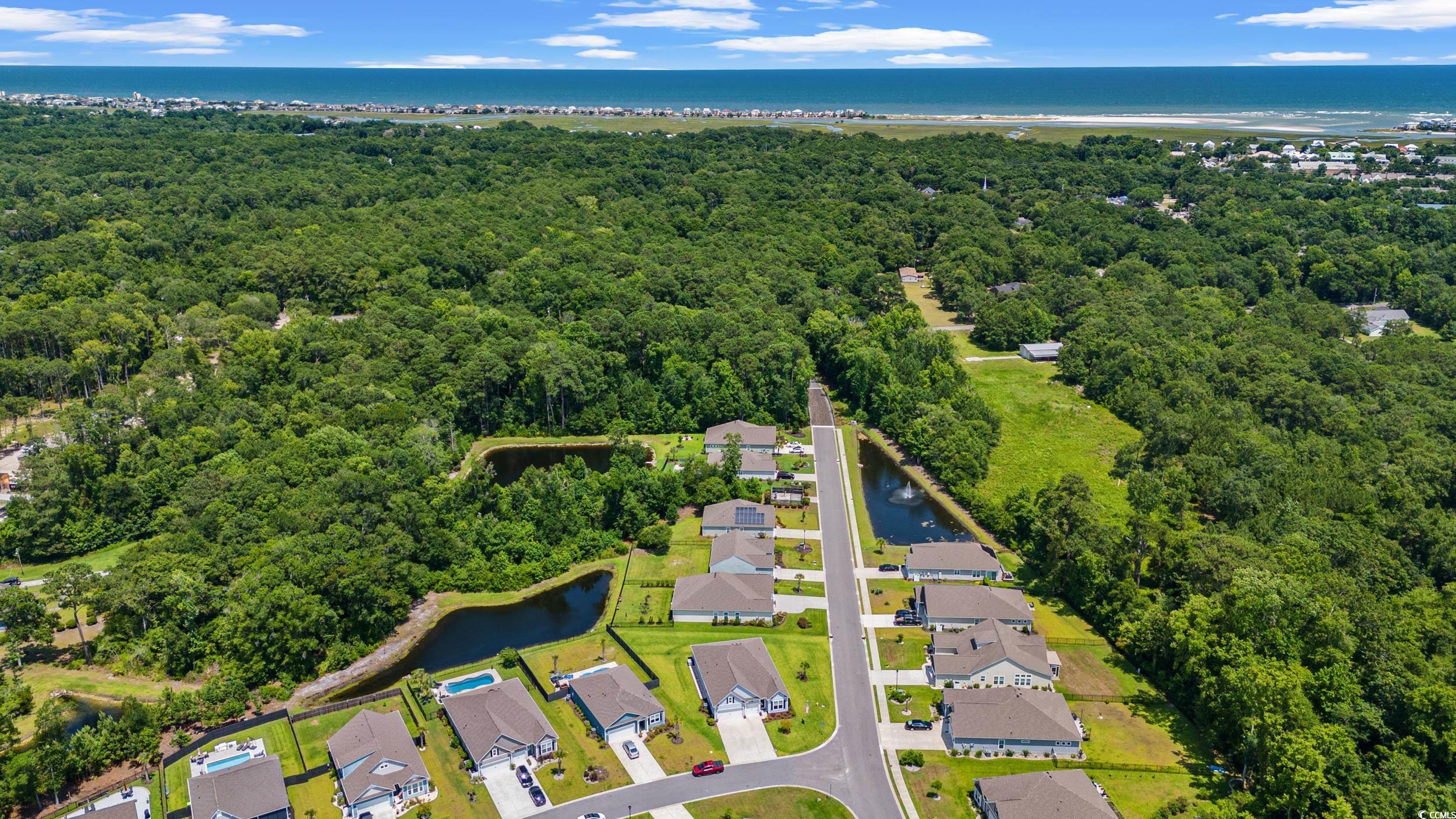 10 Grace Bay Ct., Pawleys Island, South Carolina image 36