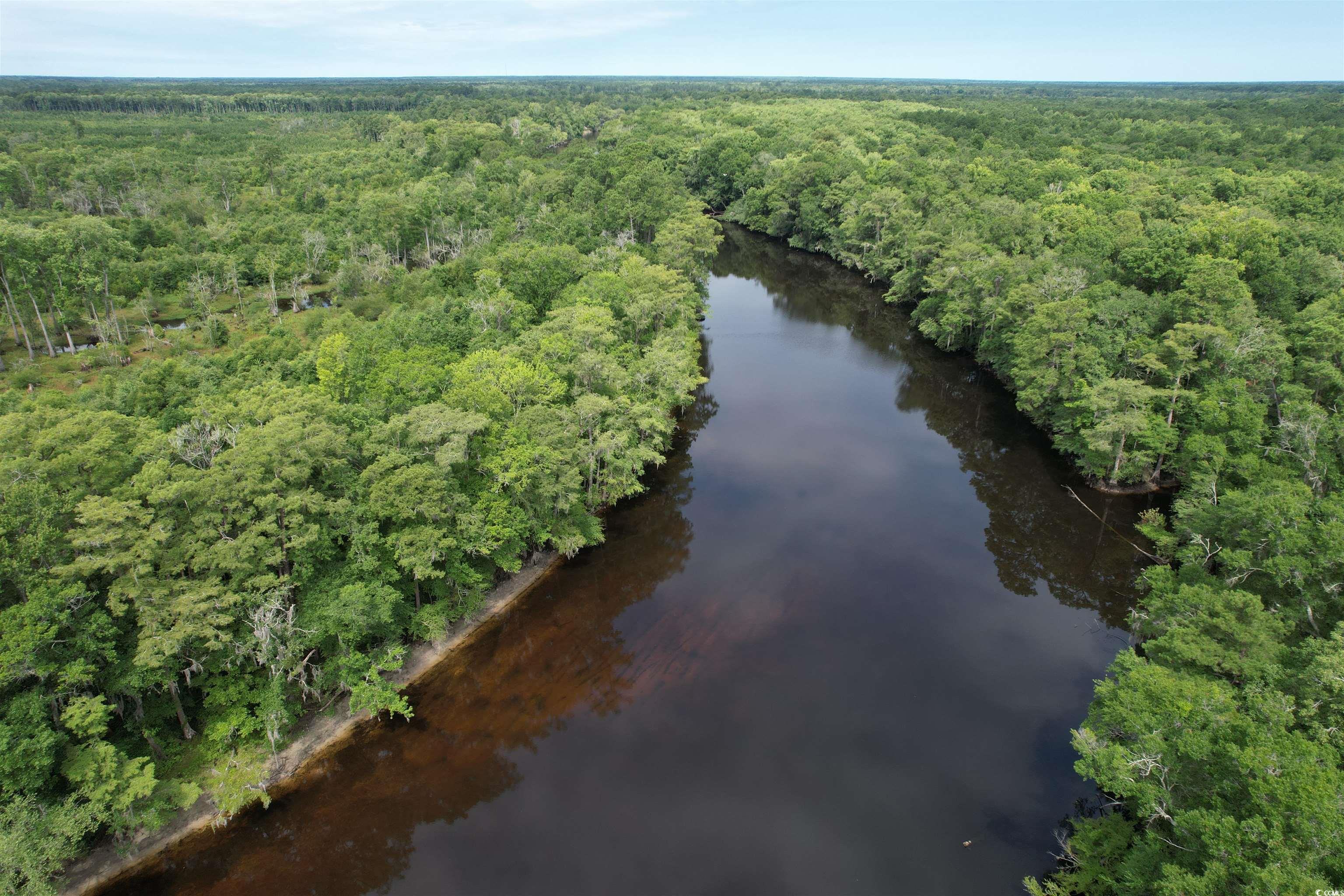 TBD Reds Landing Rd., Andrews, South Carolina image 1