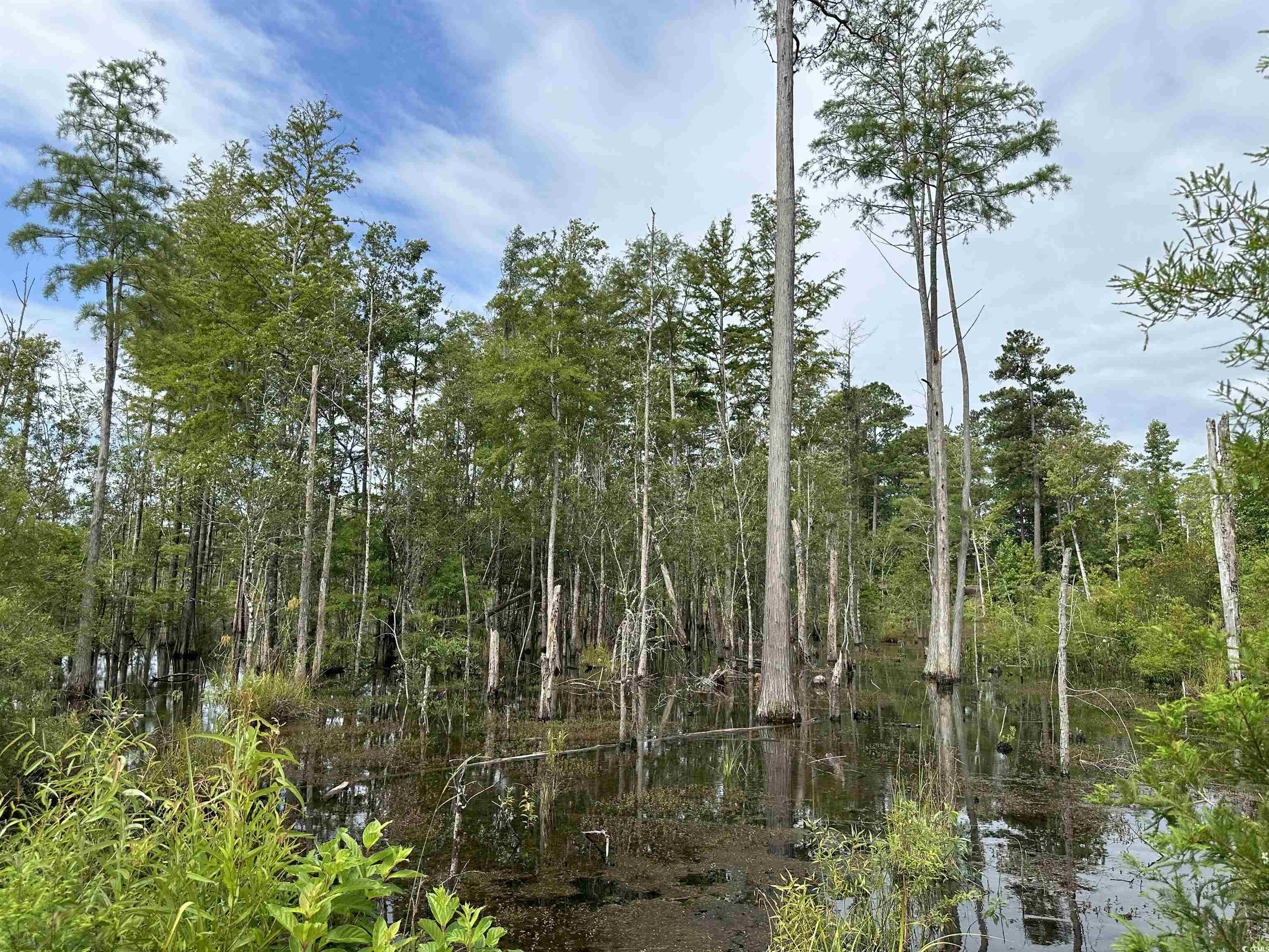 TBD Reds Landing Rd., Andrews, South Carolina image 11