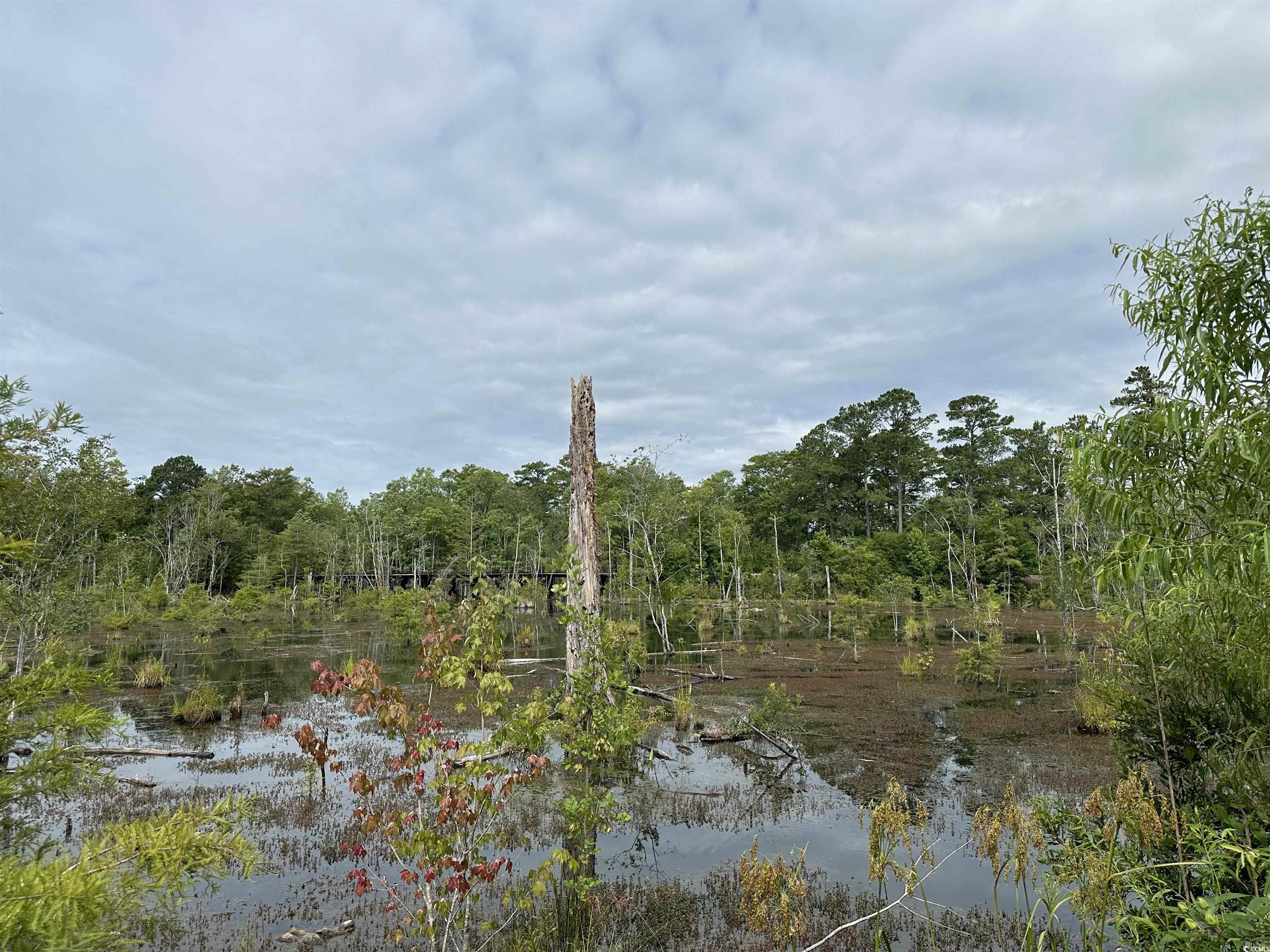 TBD Reds Landing Rd., Andrews, South Carolina image 12