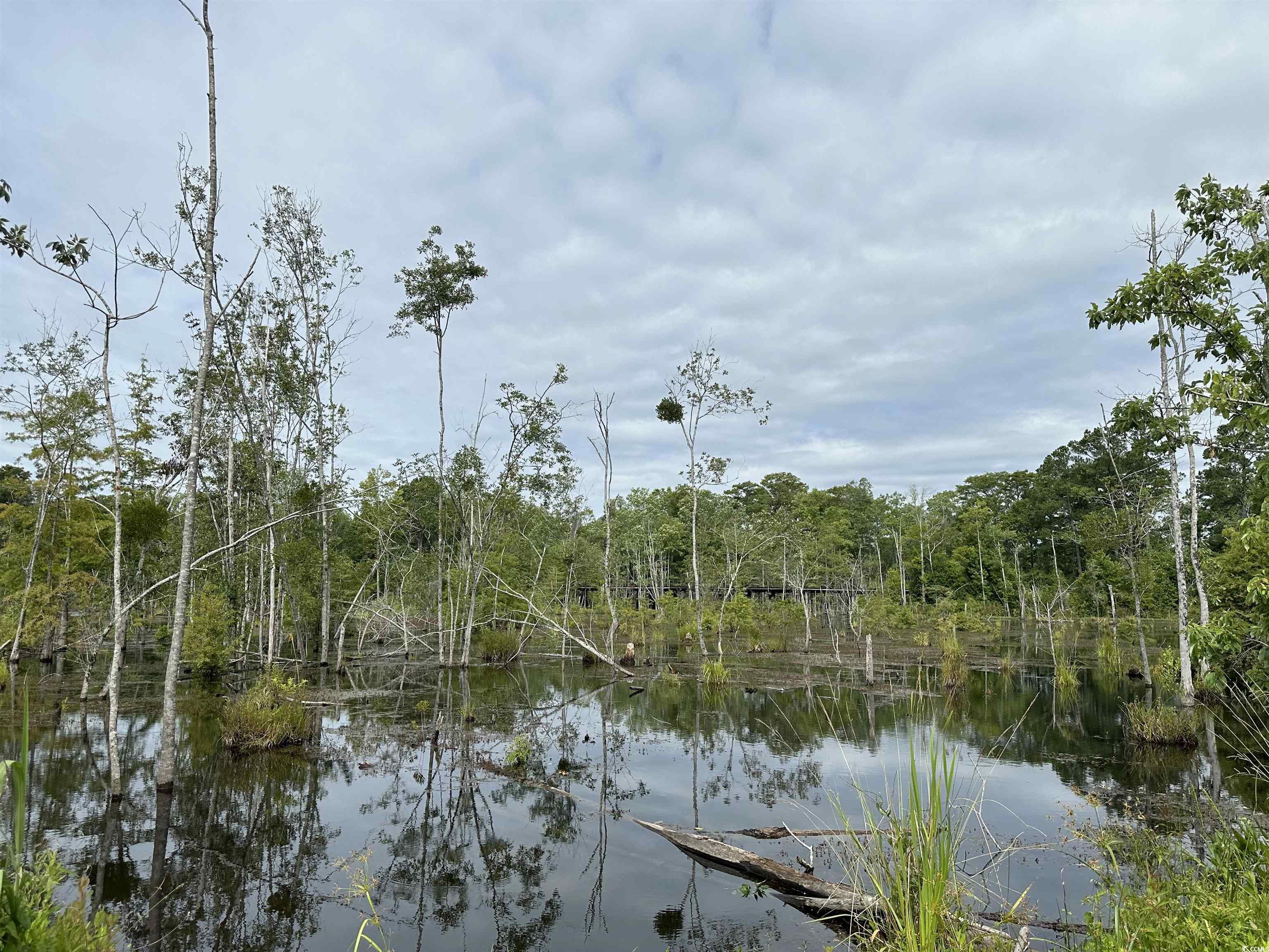 TBD Reds Landing Rd., Andrews, South Carolina image 13