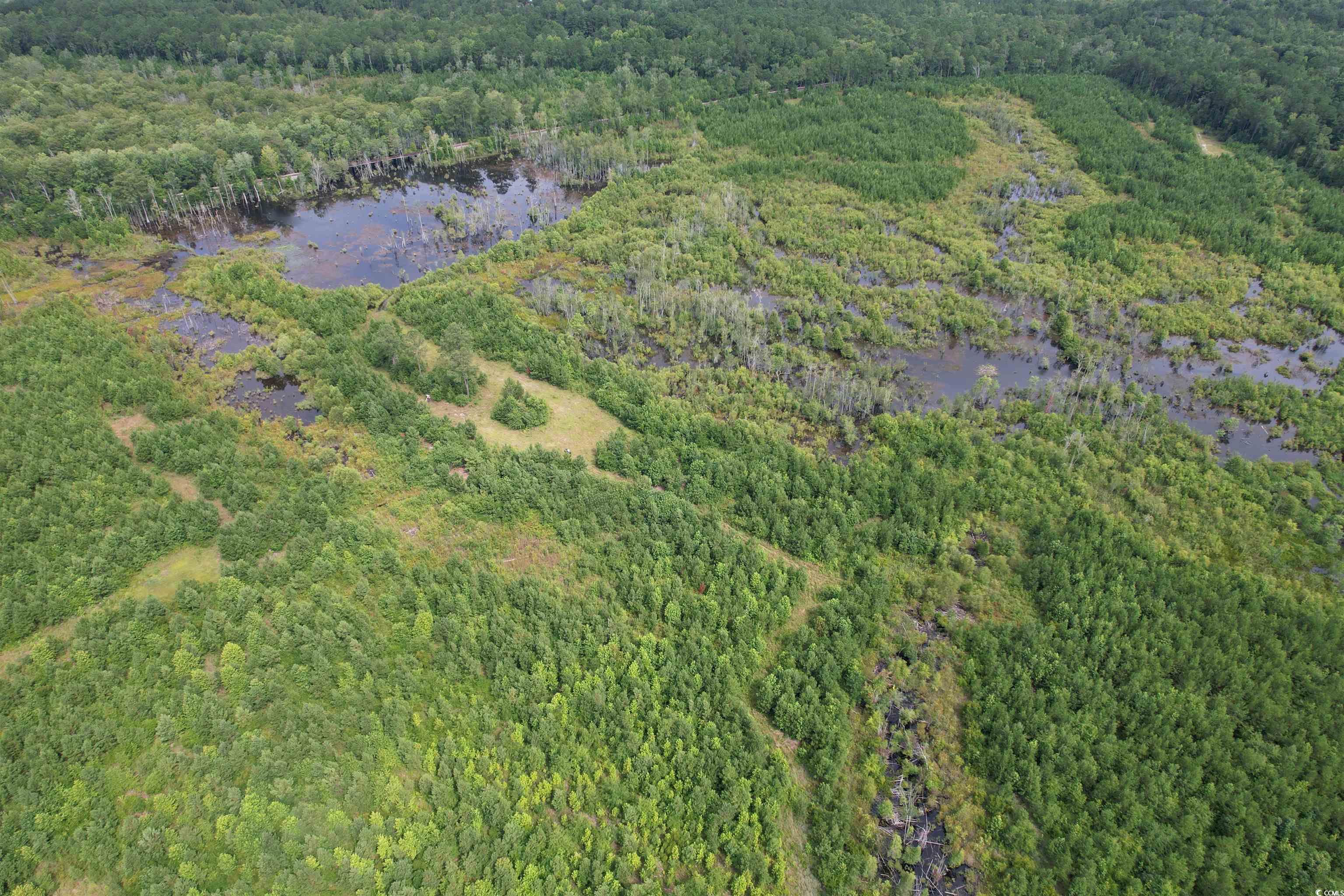 TBD Reds Landing Rd., Andrews, South Carolina image 30