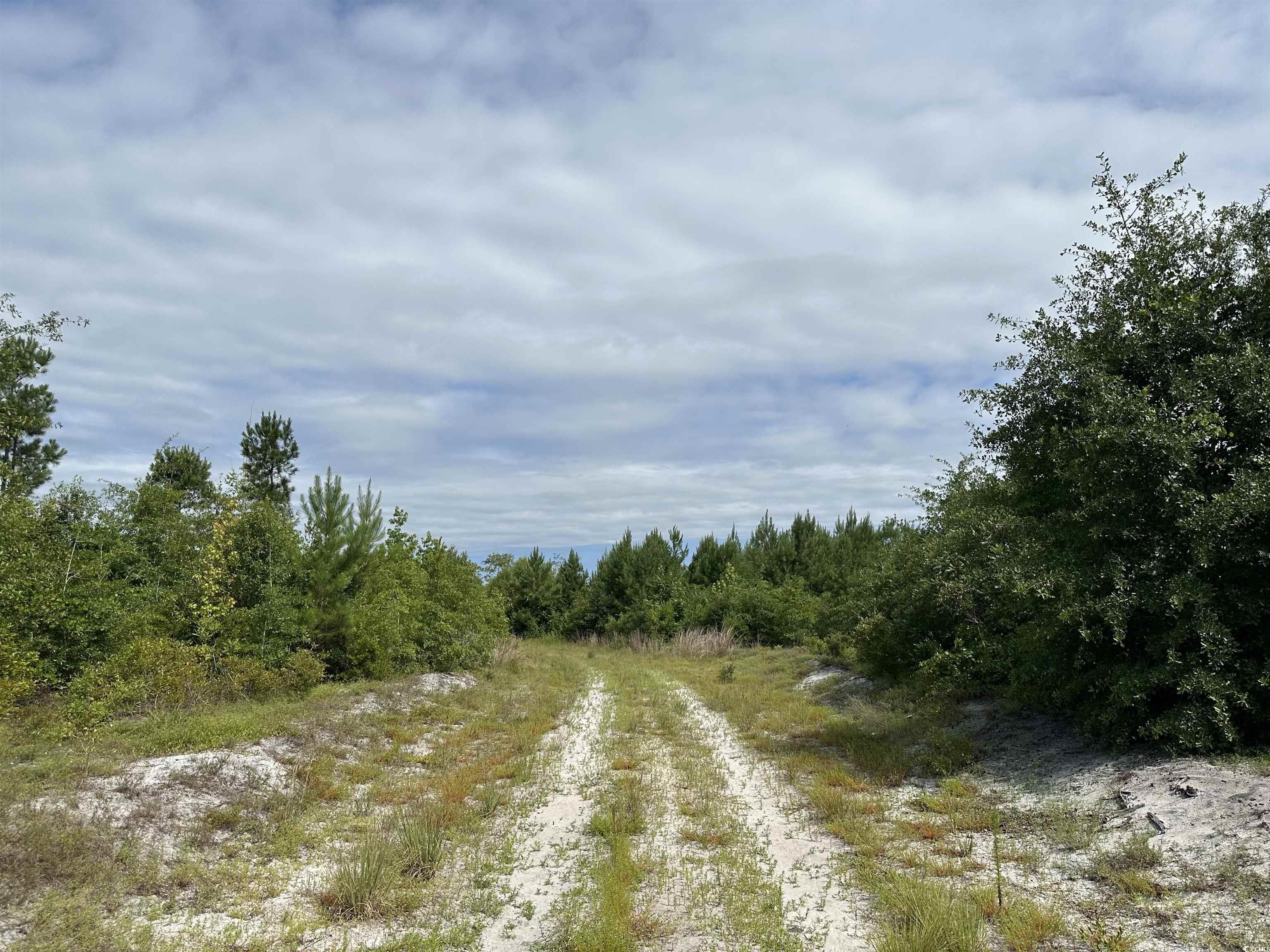 TBD Reds Landing Rd., Andrews, South Carolina image 8