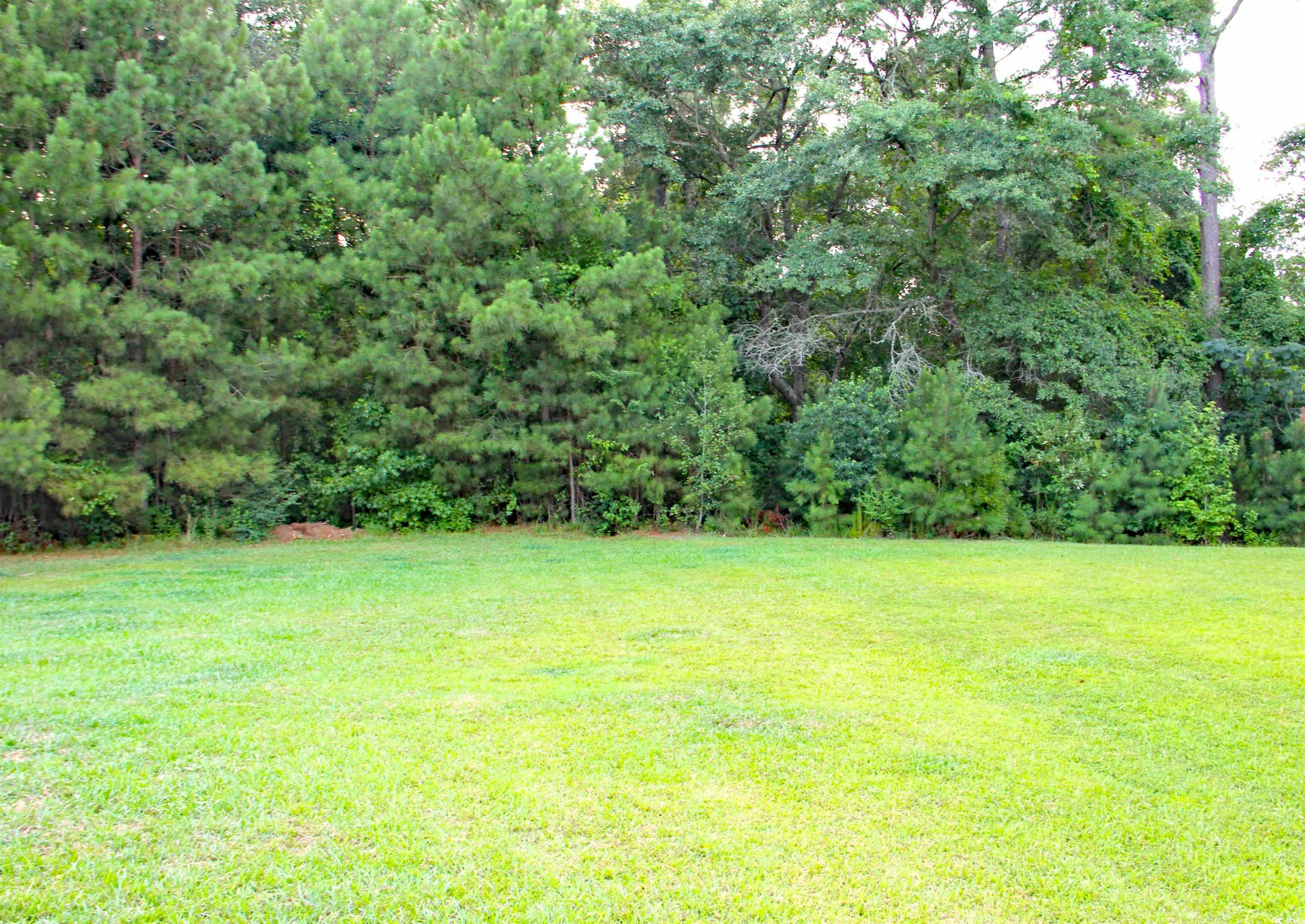 157 Blue Jacket Dr., Galivants Ferry, South Carolina image 19