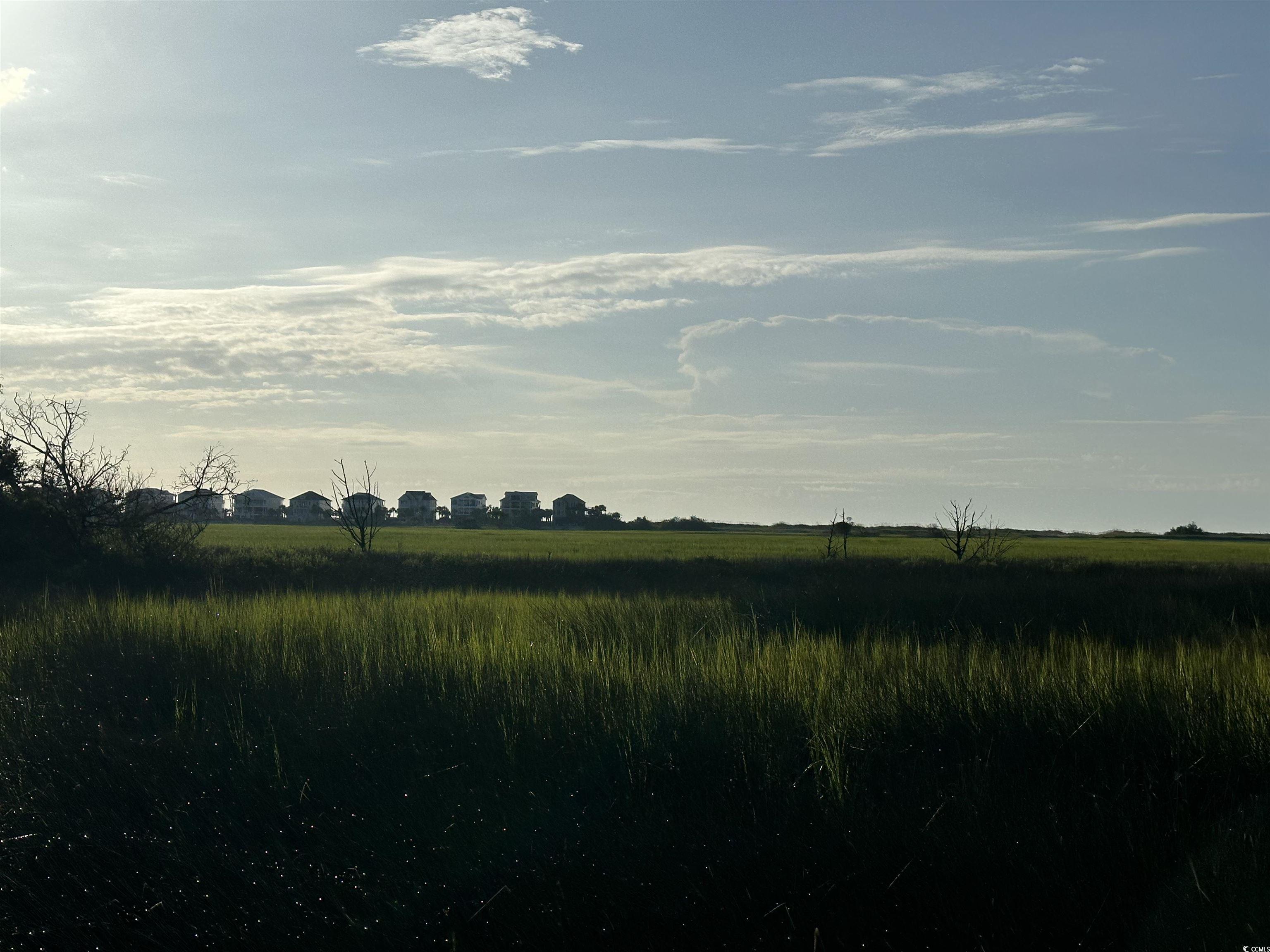 180 Brown Pelican Loop Pawleys Island, SC 29585