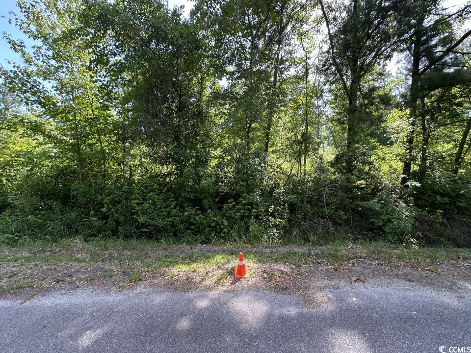 00 Calvary Road Dr, Kingstree, South Carolina image 16