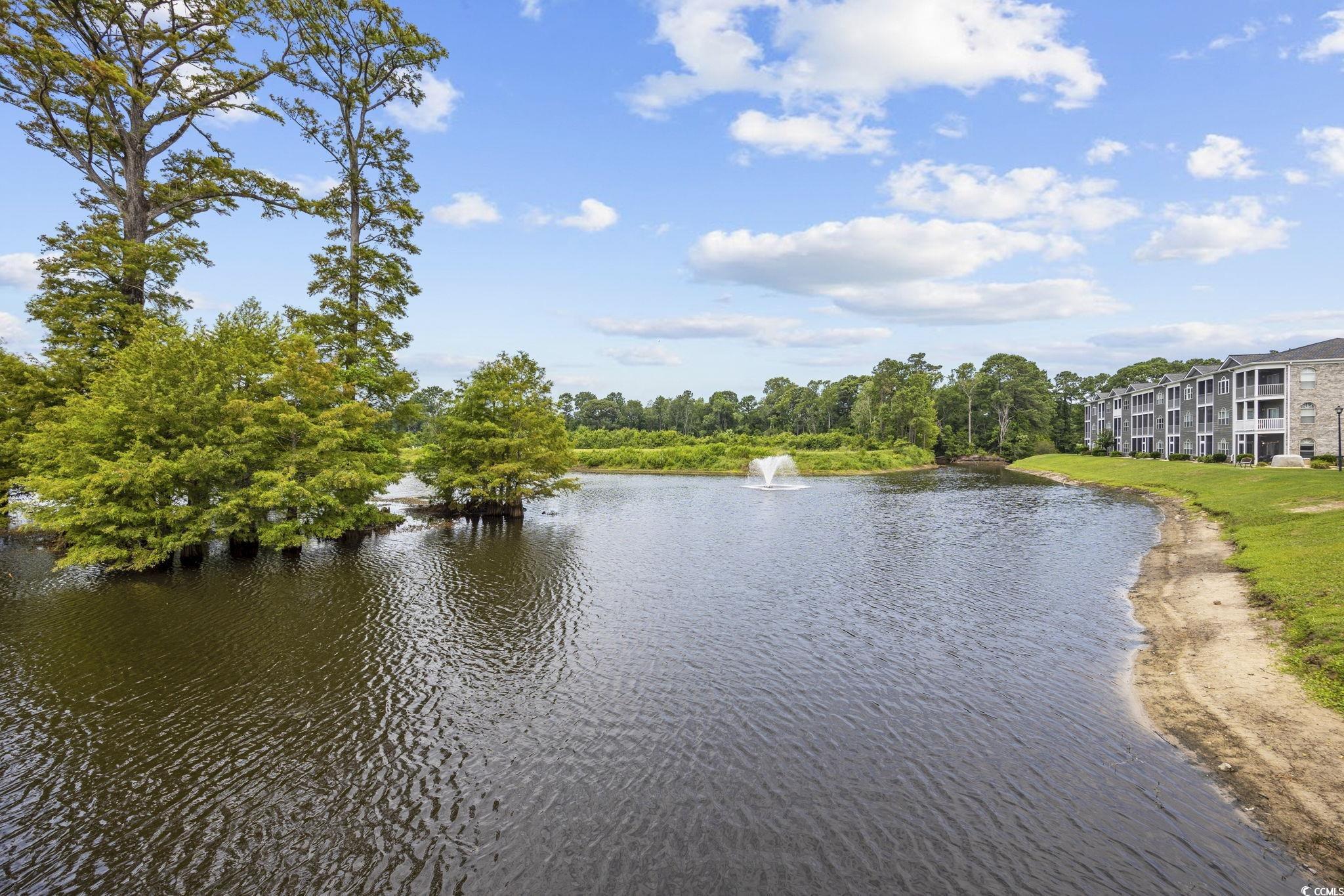 4503 W Harbour Circle #S1, Little River, South Carolina image 34