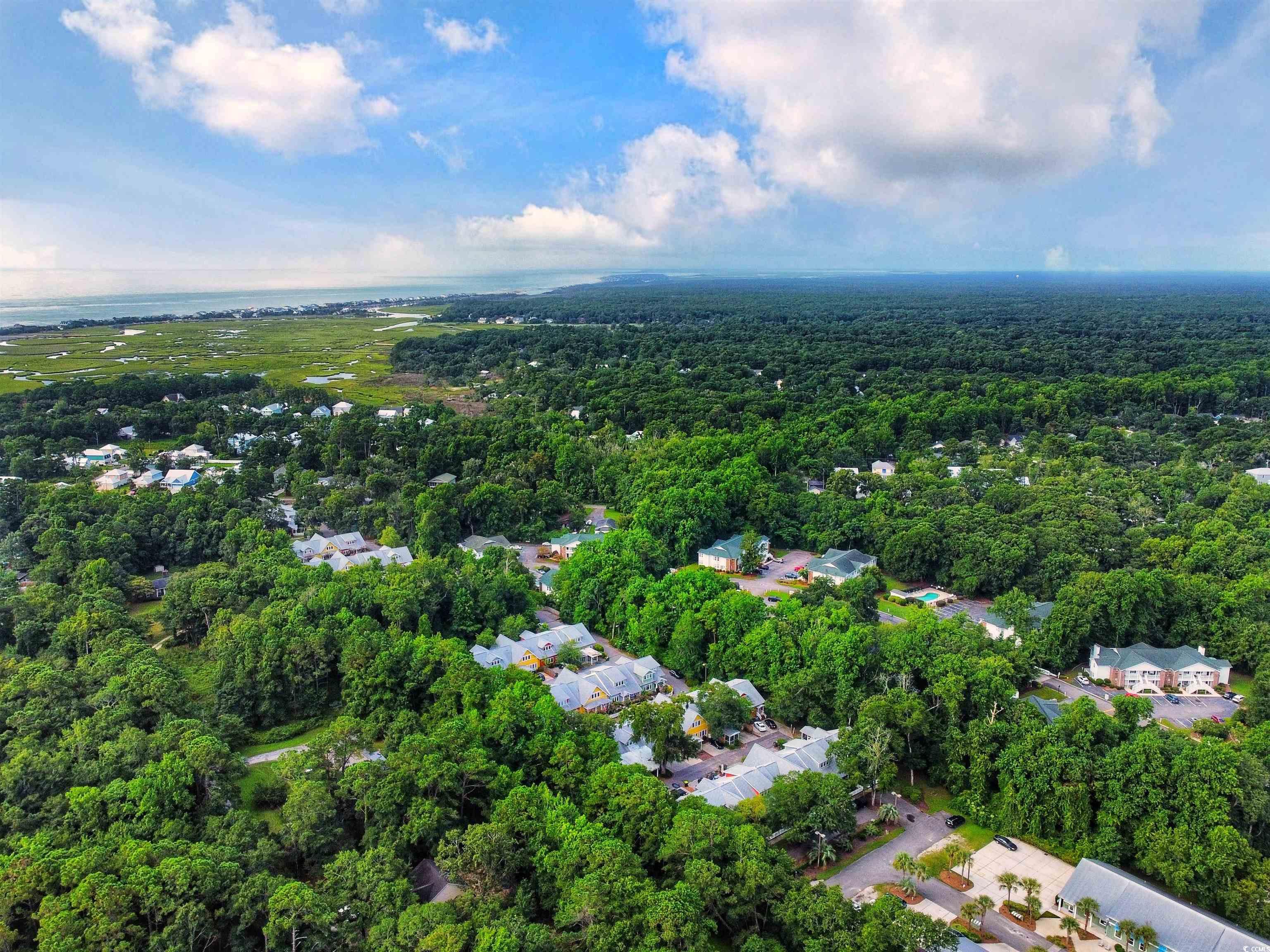 120 A Da Gullah Way #A, Pawleys Island, South Carolina image 29