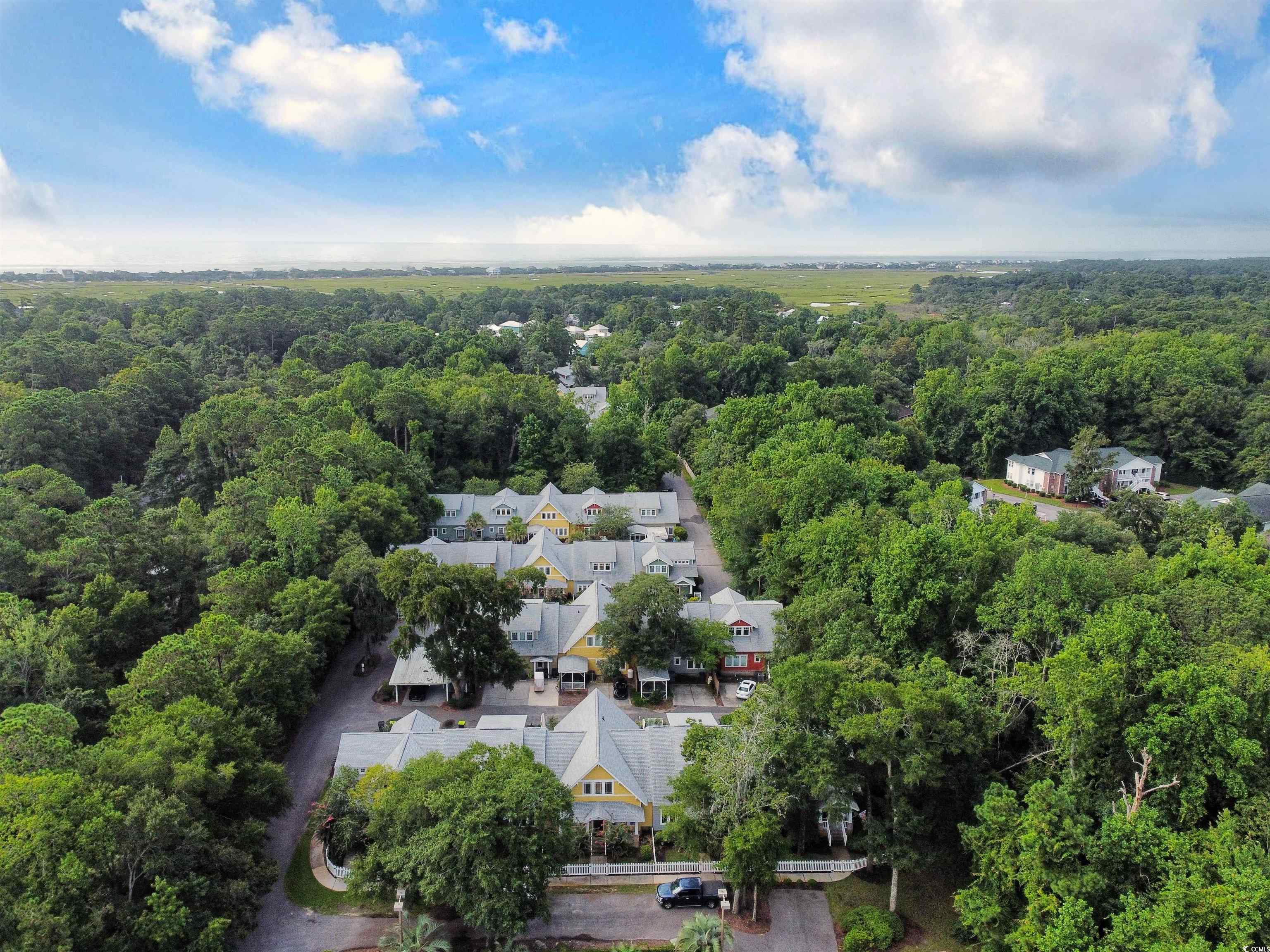 120 A Da Gullah Way #A, Pawleys Island, South Carolina image 30