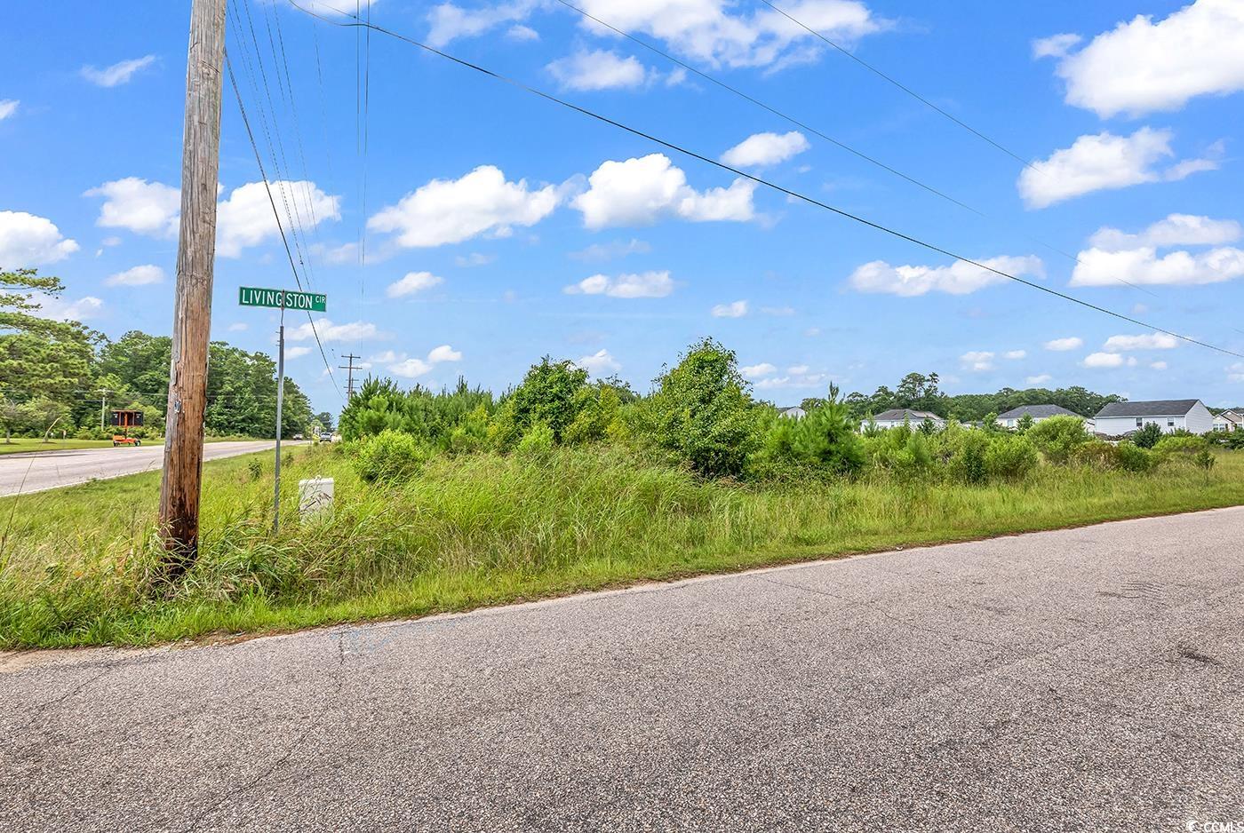 TBD Highway 90, Little River, South Carolina image 3