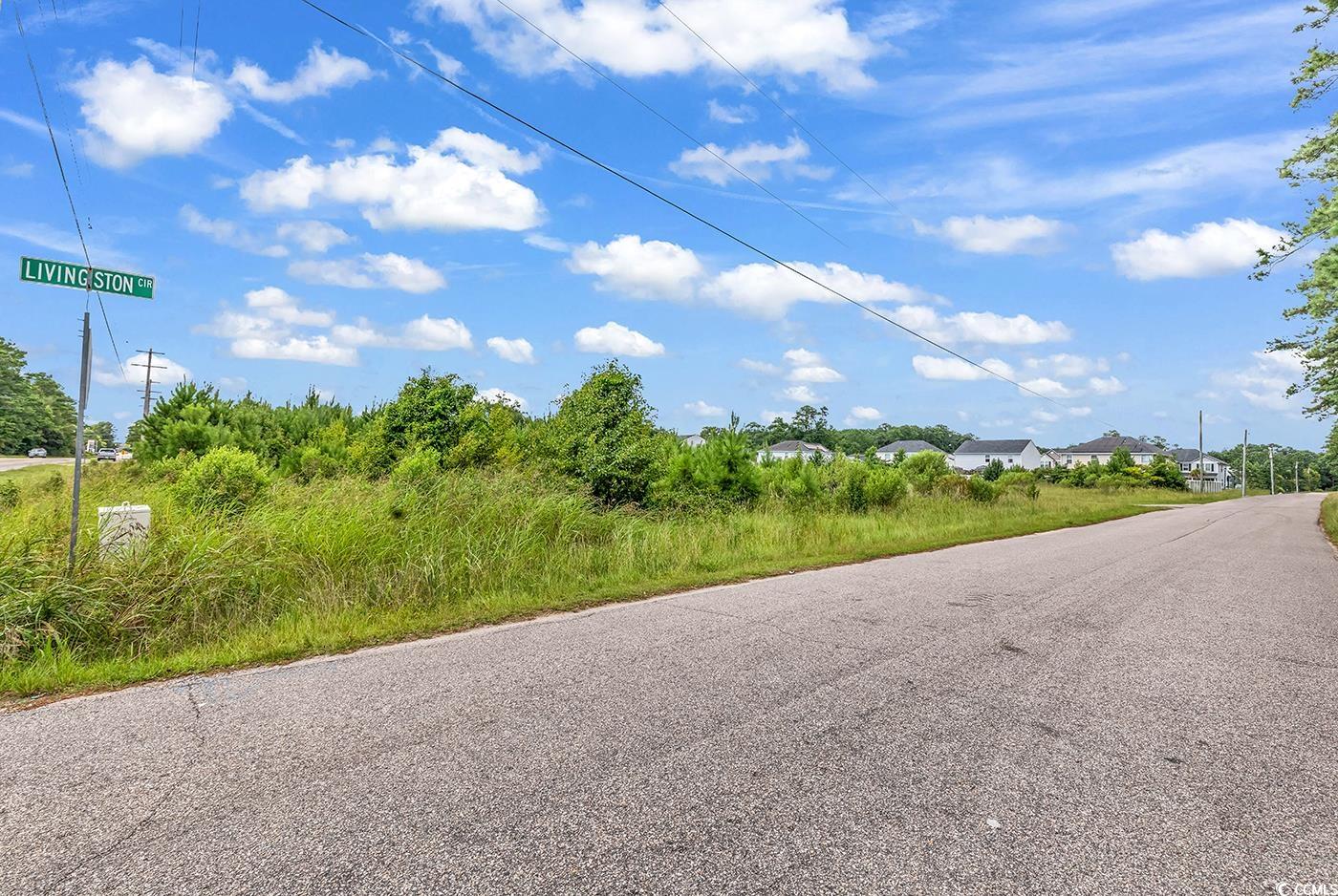 TBD Highway 90, Little River, South Carolina image 4