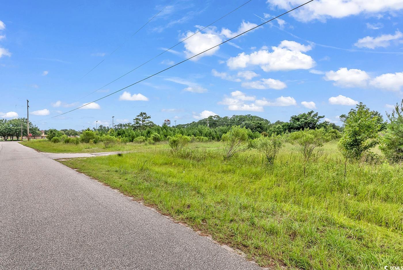 TBD Highway 90, Little River, South Carolina image 5