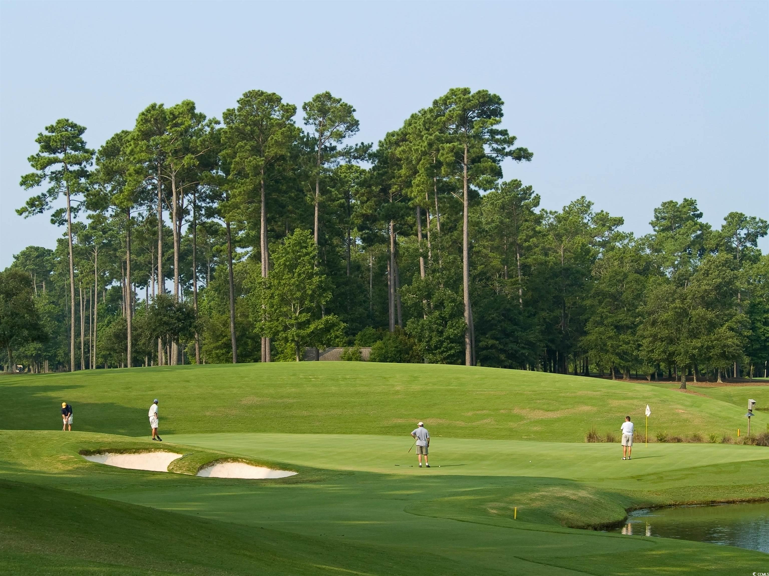 TBB Shady Grove Rd., Conway, South Carolina image 28